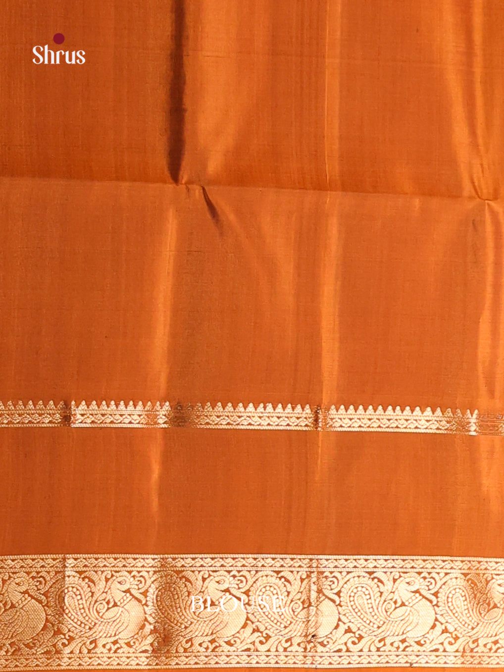 Luminous Green Soft Silk Saree with gold floral Motifs & Brick Zari Woven Border 2