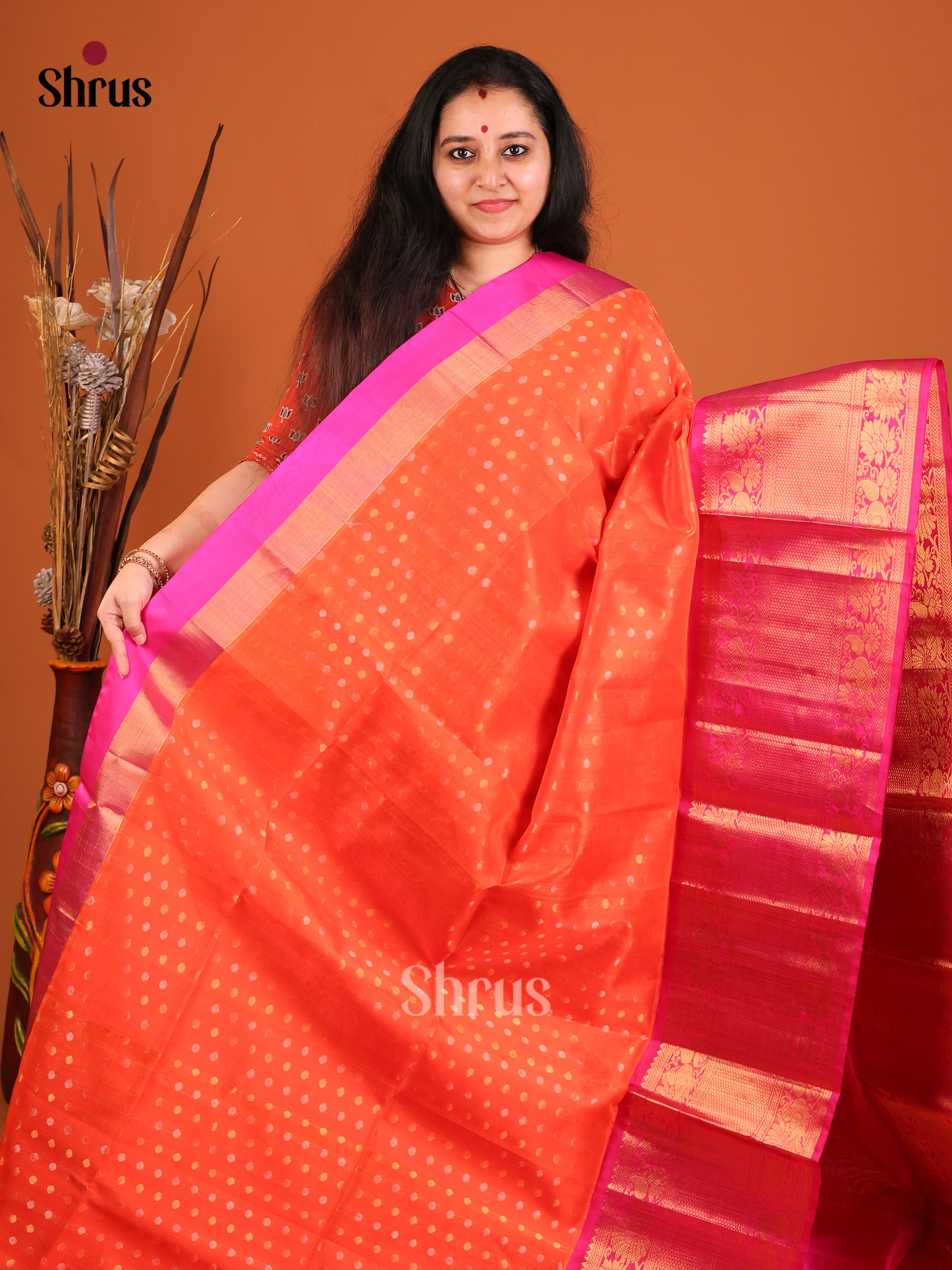 DIS17165 - Korvai-Big border Saree - Shop on Shrus.com