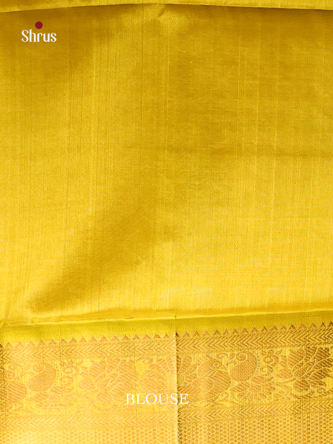 DIS17168 - Korvai-Big border Saree