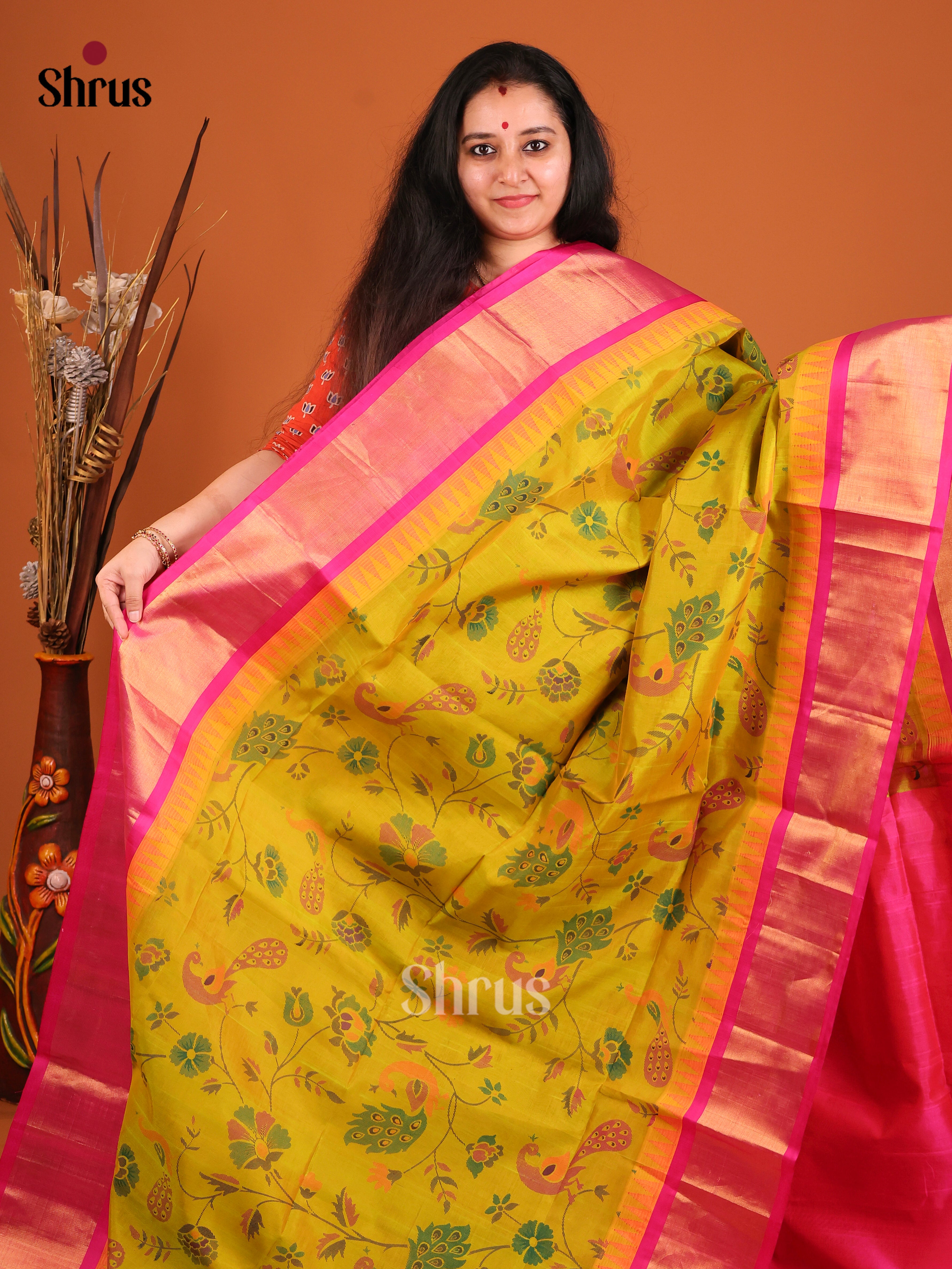 DIS17186 - Temple-border Saree - Shop on Shrus.com