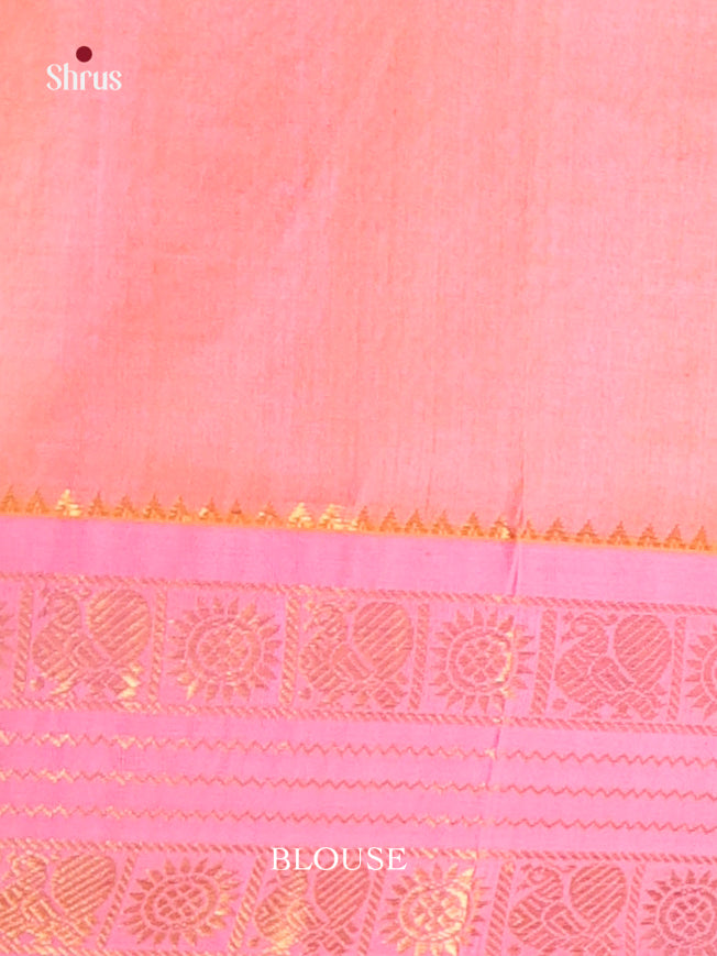 DIS17193 - Korvai-kattams Saree - Shop on Shrus.com