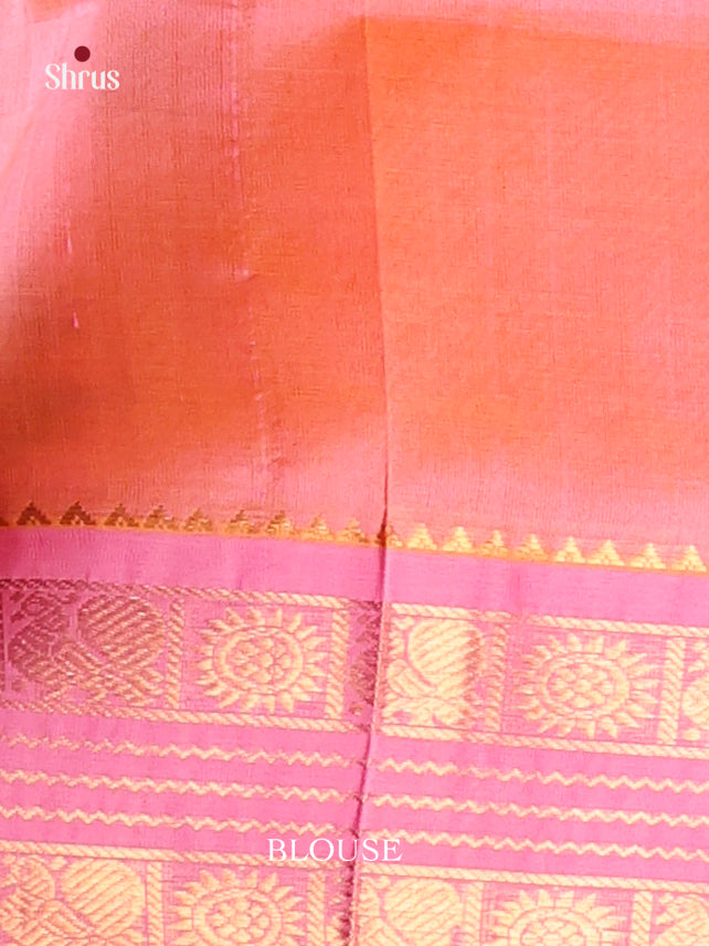 DIS17195 - Korvai-kattams Saree - Shop on Shrus.com