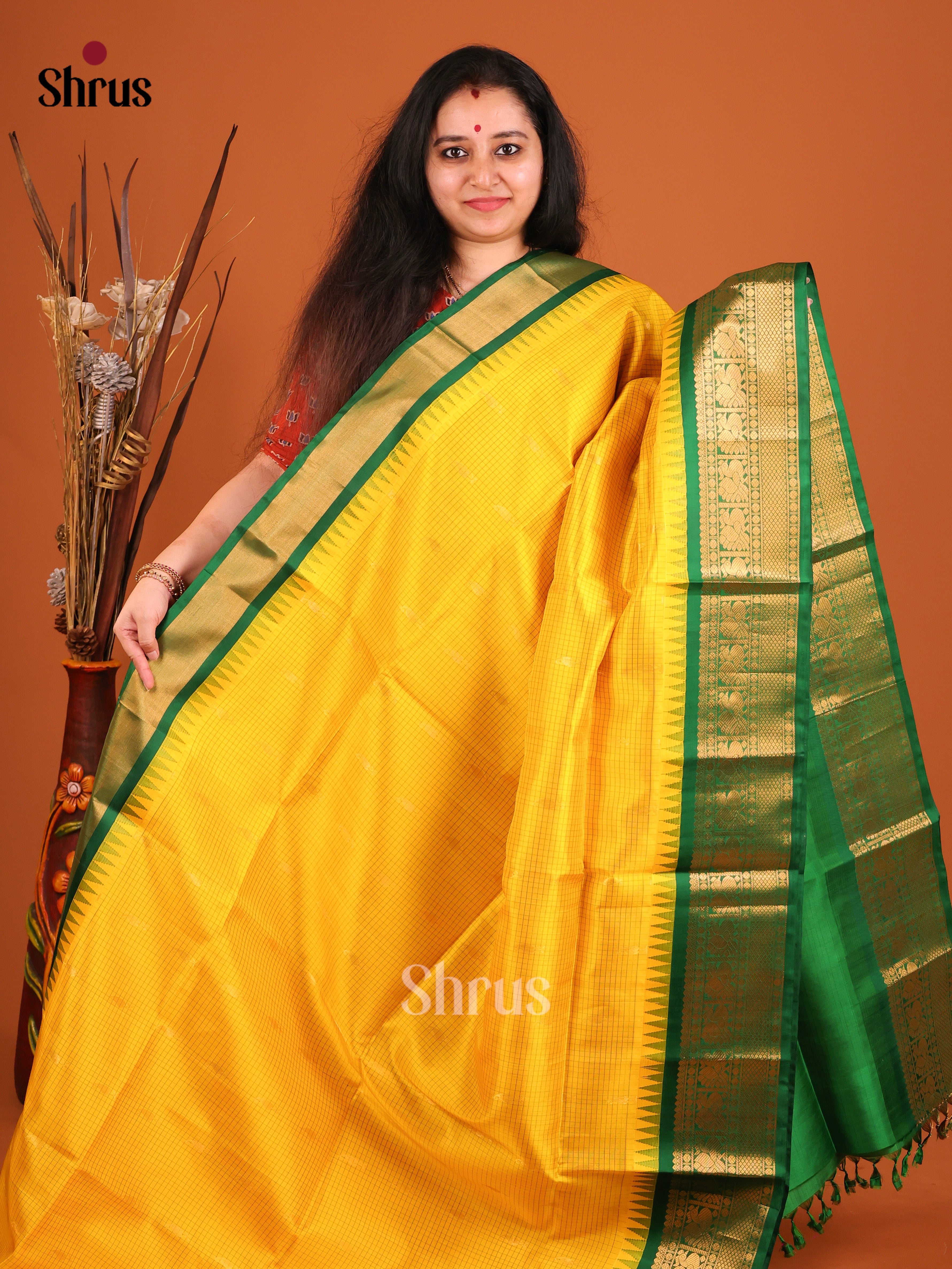 DIS17230 - Soft Silk (HR) Saree - Shop on Shrus.com