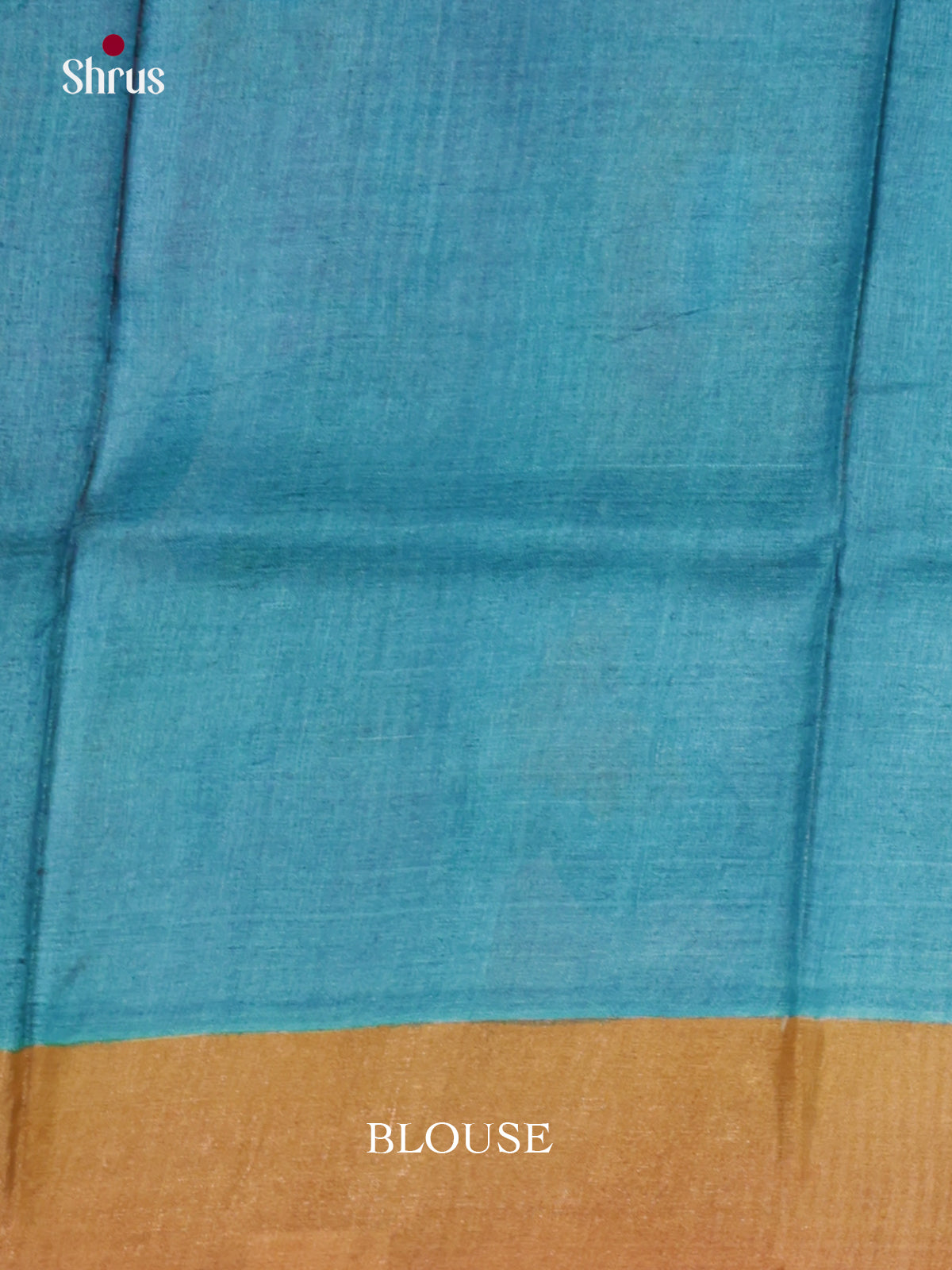 DIS17758 - Tussar Saree - Shop on Shrus.com