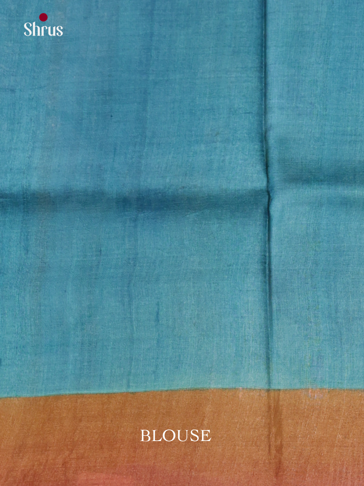 DIS17762 - Tussar Saree - Shop on Shrus.com