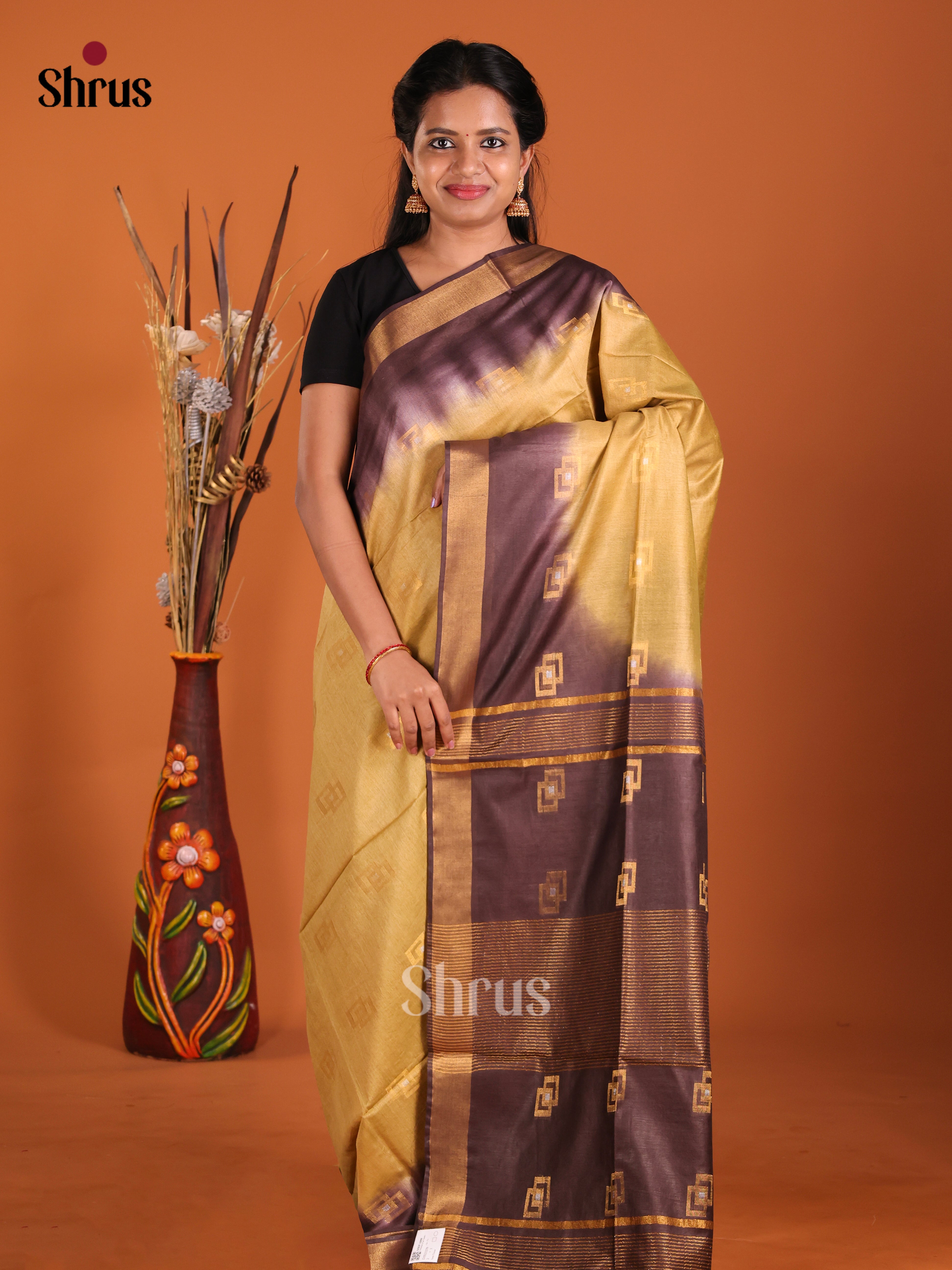 Beige & Brown - Semi Tussar Saree
