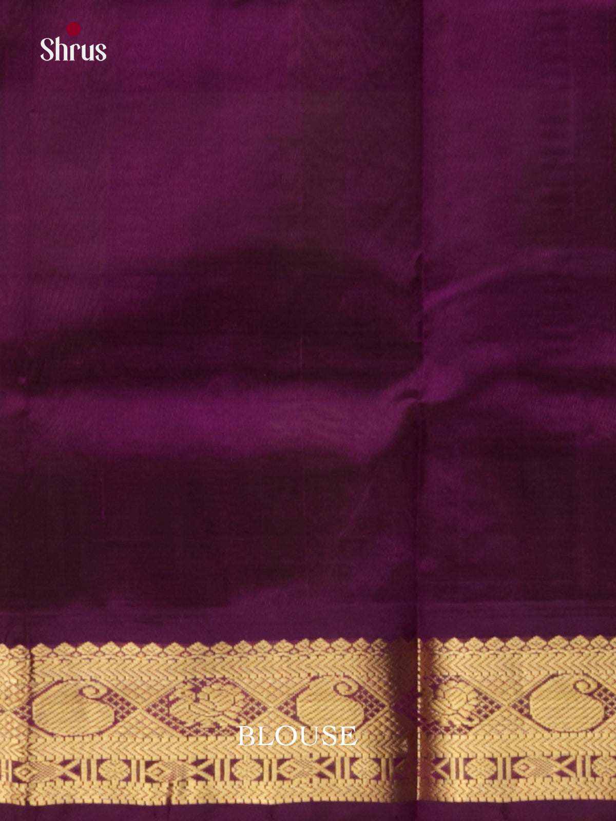 DIS24226 - Silk Cotton Saree - Shop on Shrus.com
