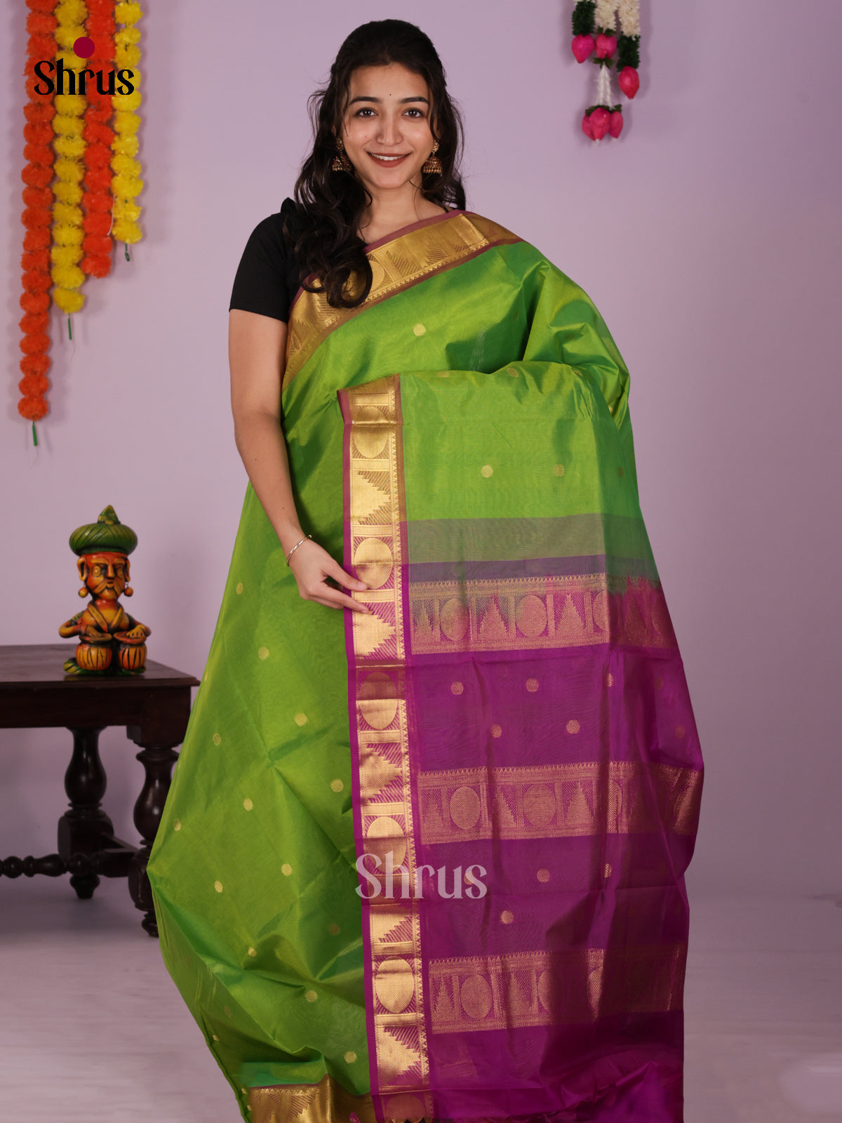 DIS24231 - Silk Cotton Saree - Shop on Shrus.com
