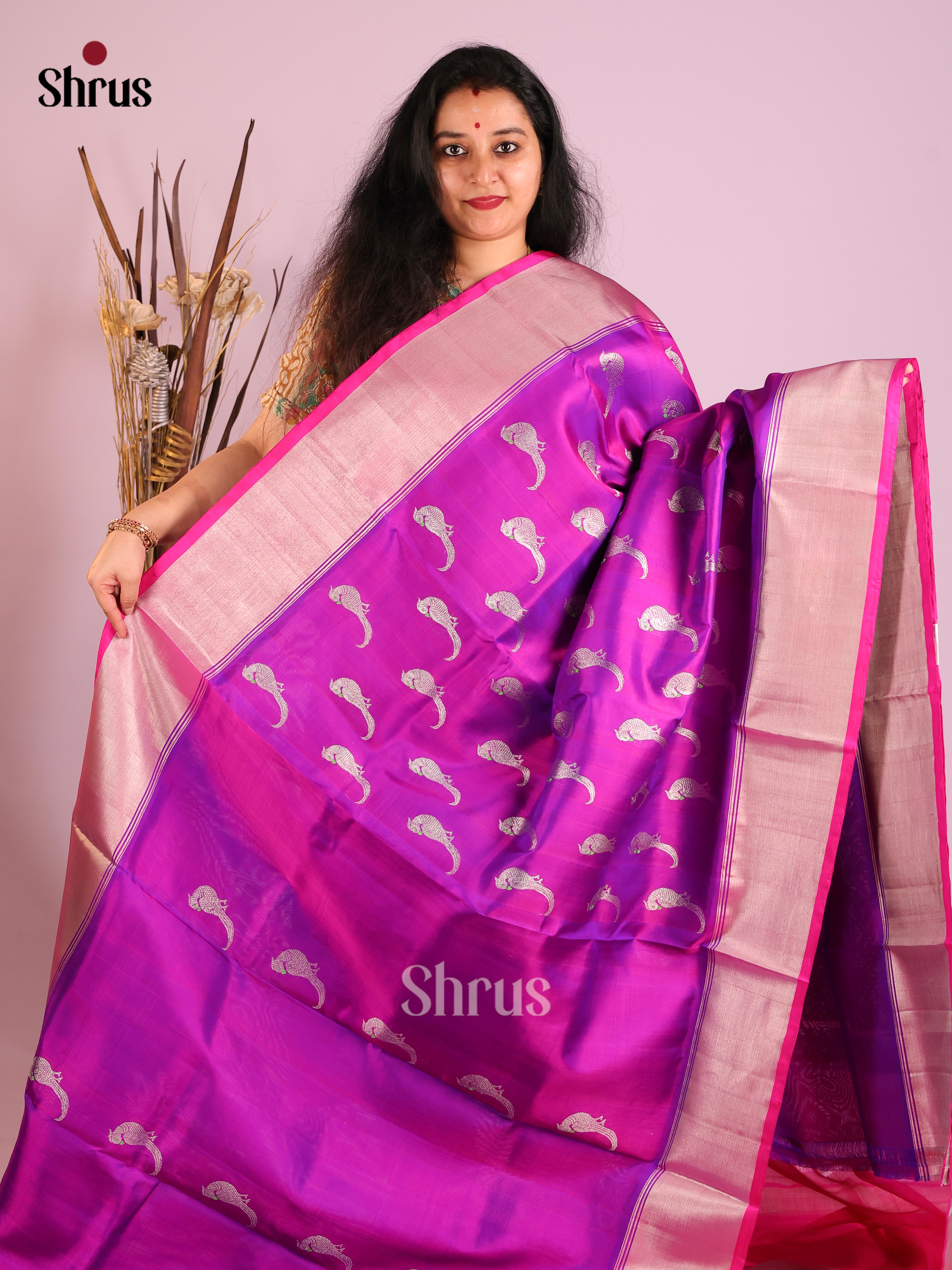Purple & Majenta Venkatagiri silk Saree gleams with zari parrot buttas , kaddi zari border