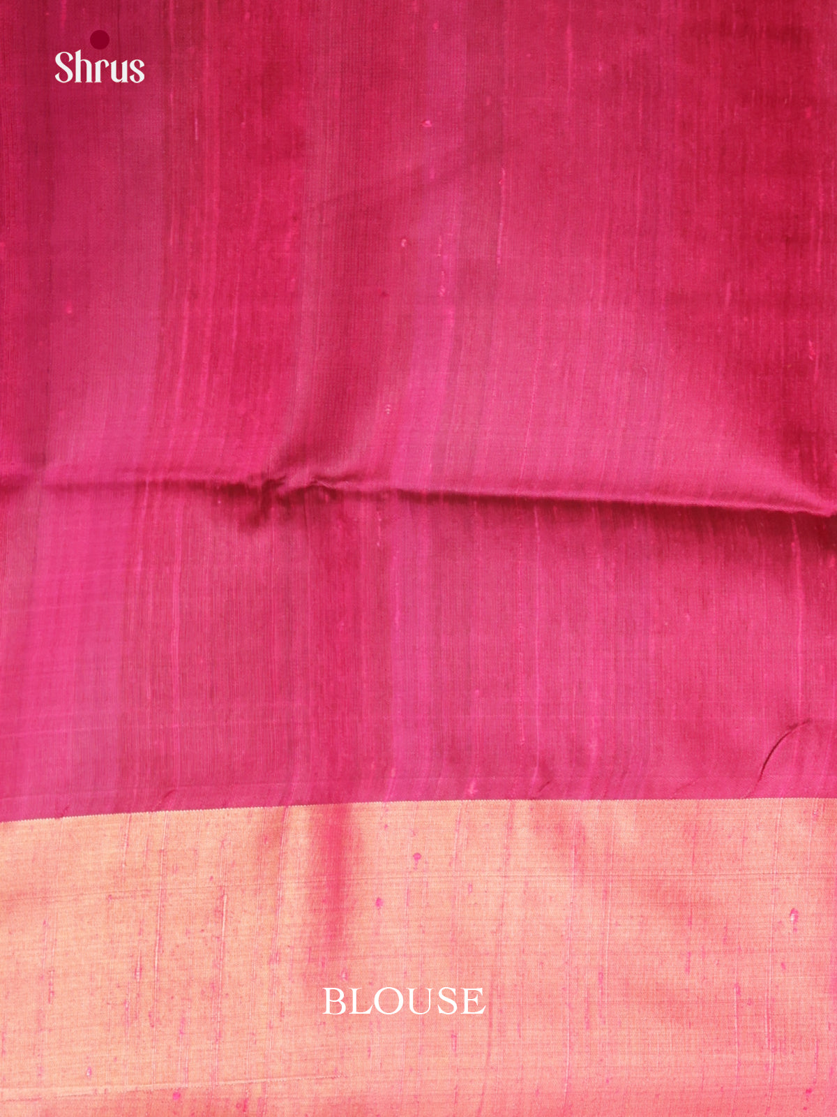 DIS24829 - Raw Silk Saree - Shop on Shrus.com