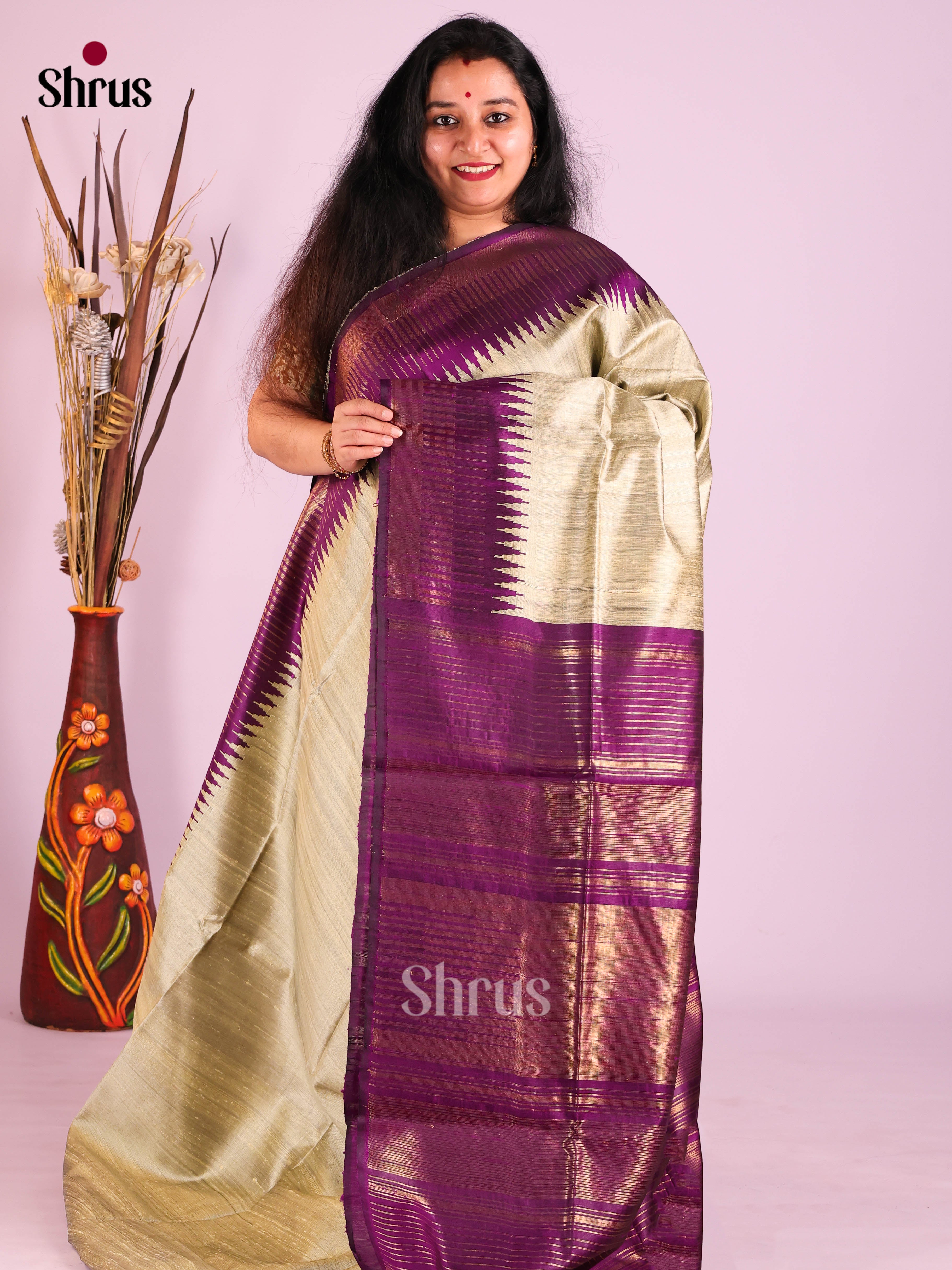 DIS24907 - Raw Silk Saree - Shop on Shrus.com