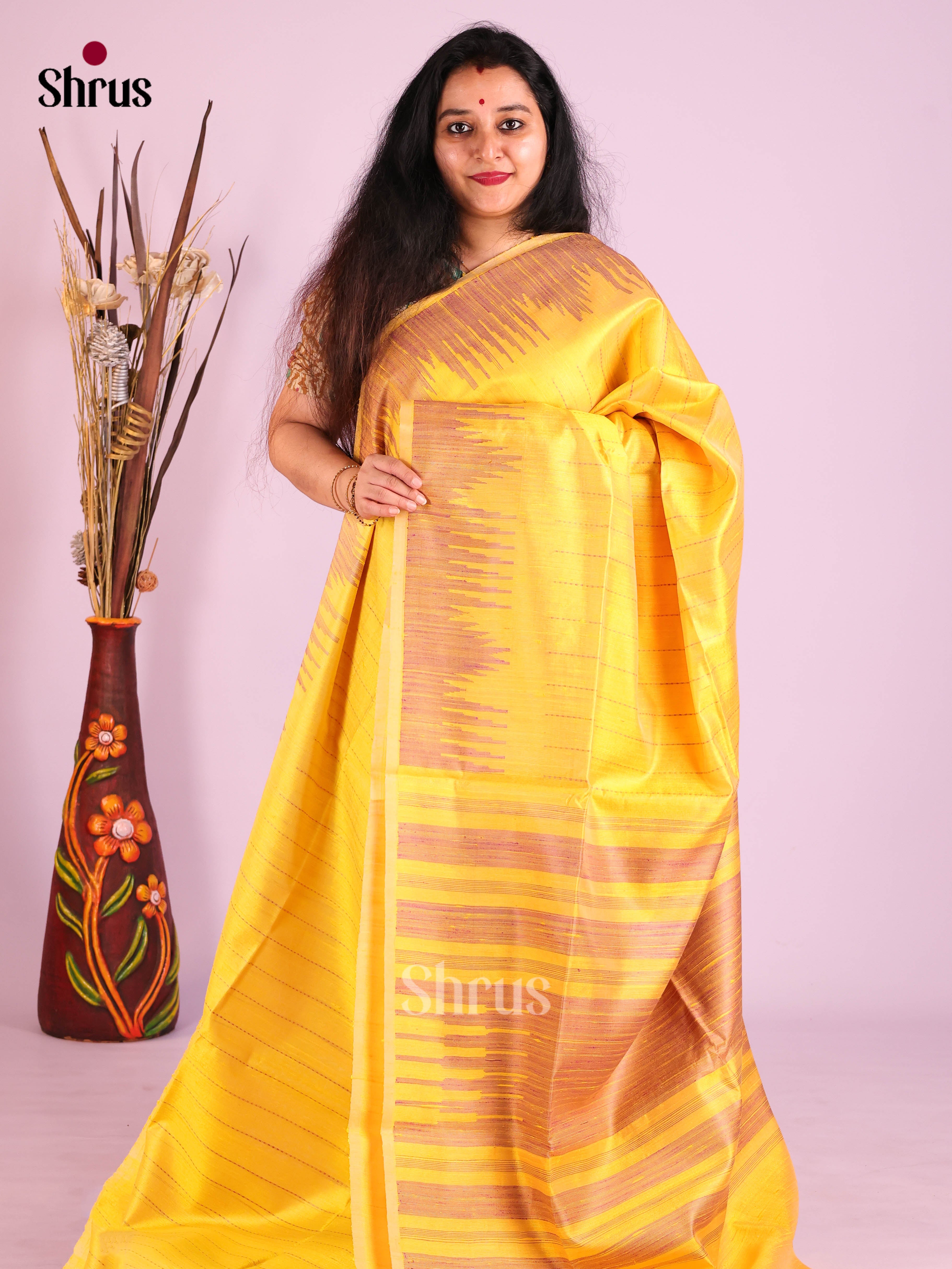 DIS24926 - Raw Silk Saree - Shop on Shrus.com
