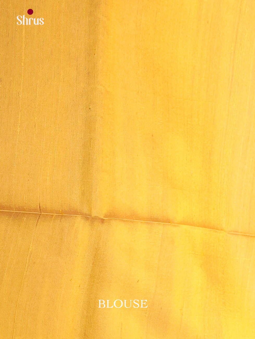 DIS24926 - Raw Silk Saree - Shop on Shrus.com
