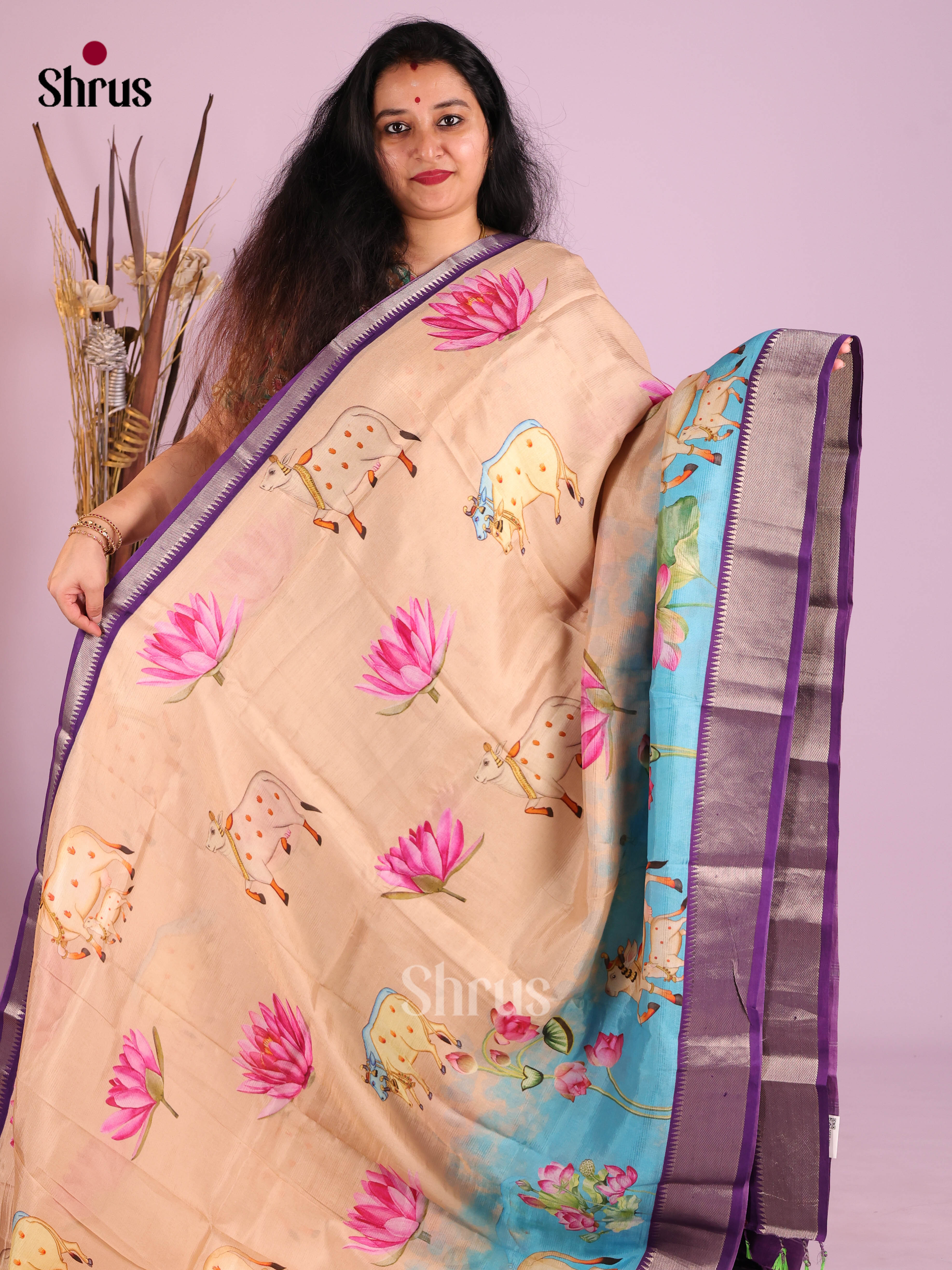 DIS26375 - Mangalagiri printed silkcotton Saree - Shop on Shrus.com