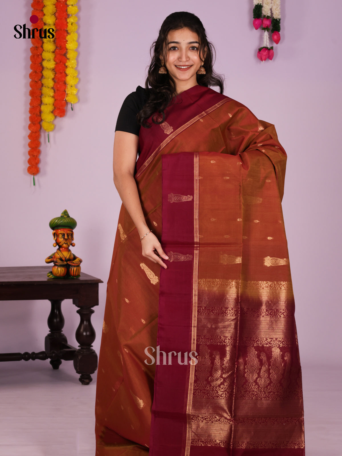 DIS26453 - Timeless Silk Cotton Saree - Shop on Shrus.com