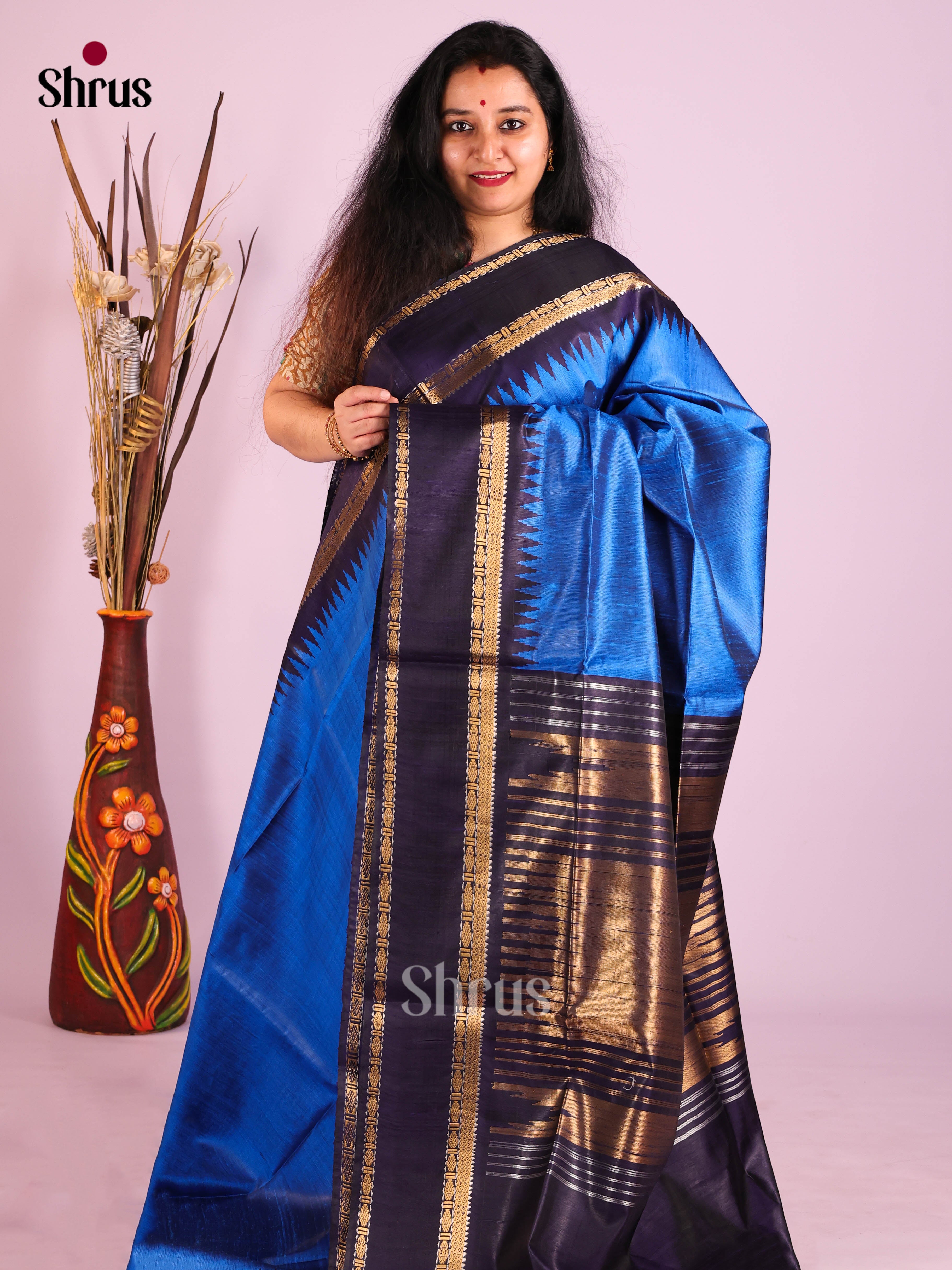Exquisite Blue Raw Silk Saree with Plain Body & Navy Blue Zari Border