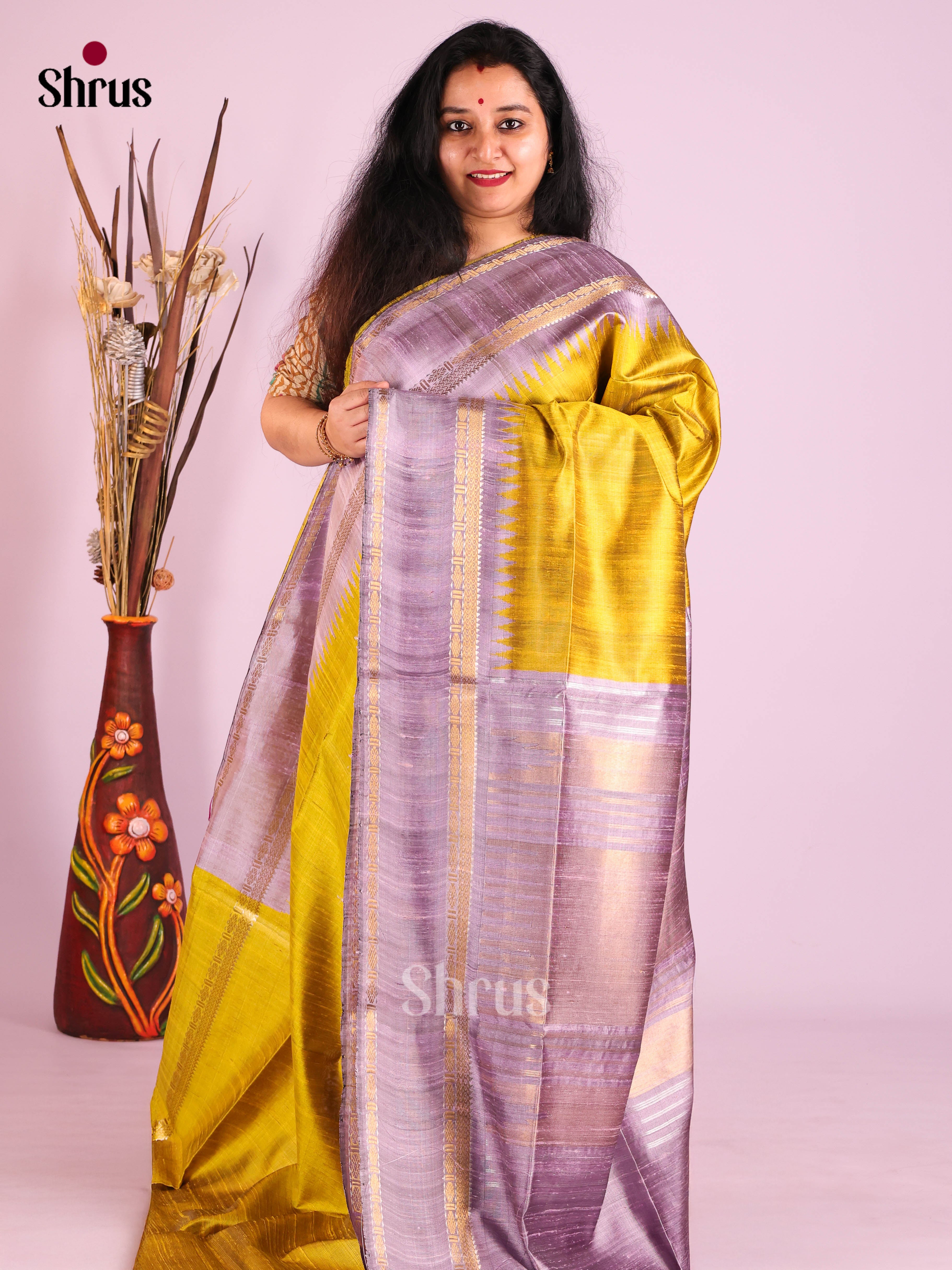 DIS27012 - Raw Silk Saree - Shop on Shrus.com