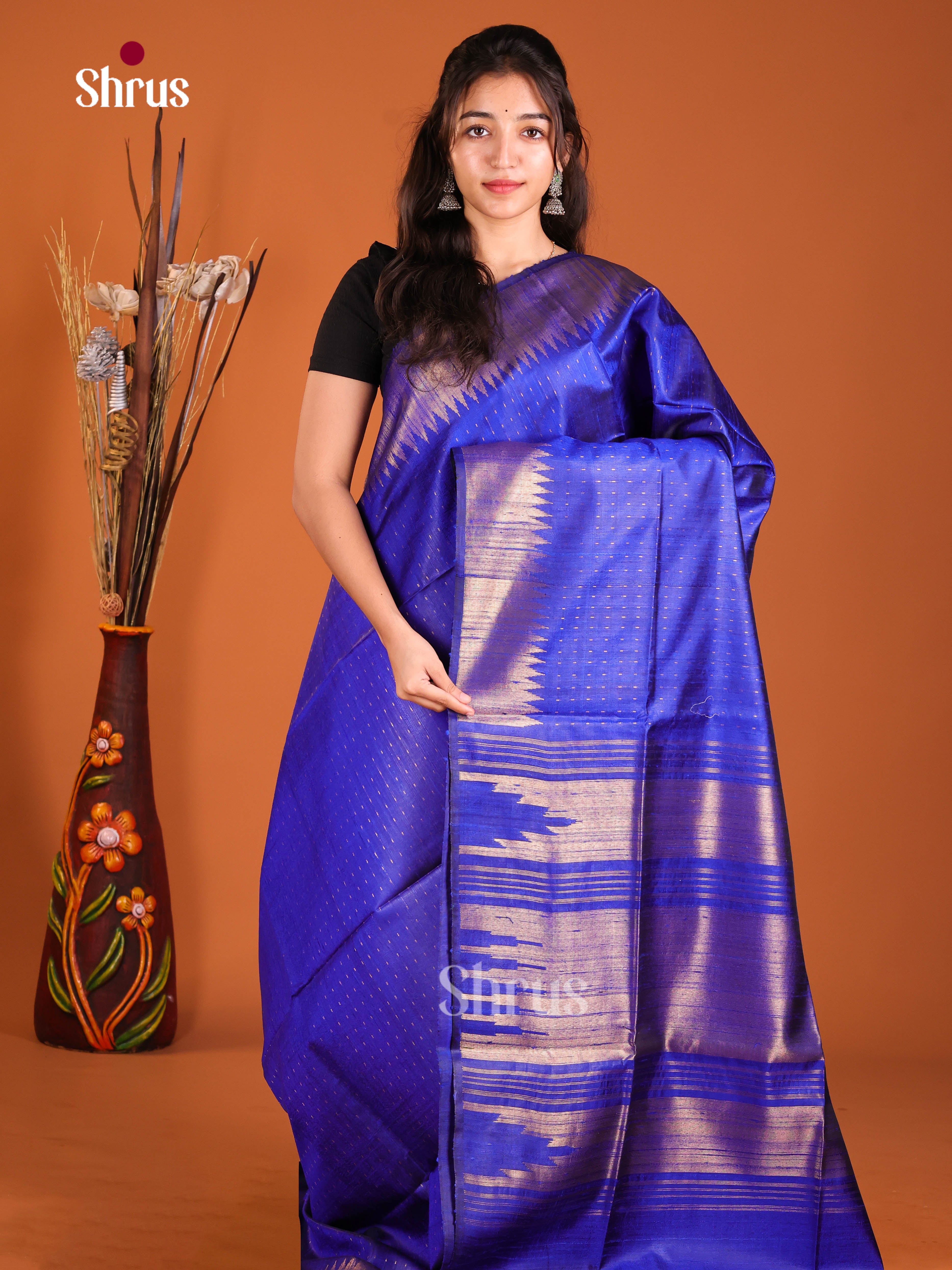 Blue(Single Tone) - Raw Silk Saree