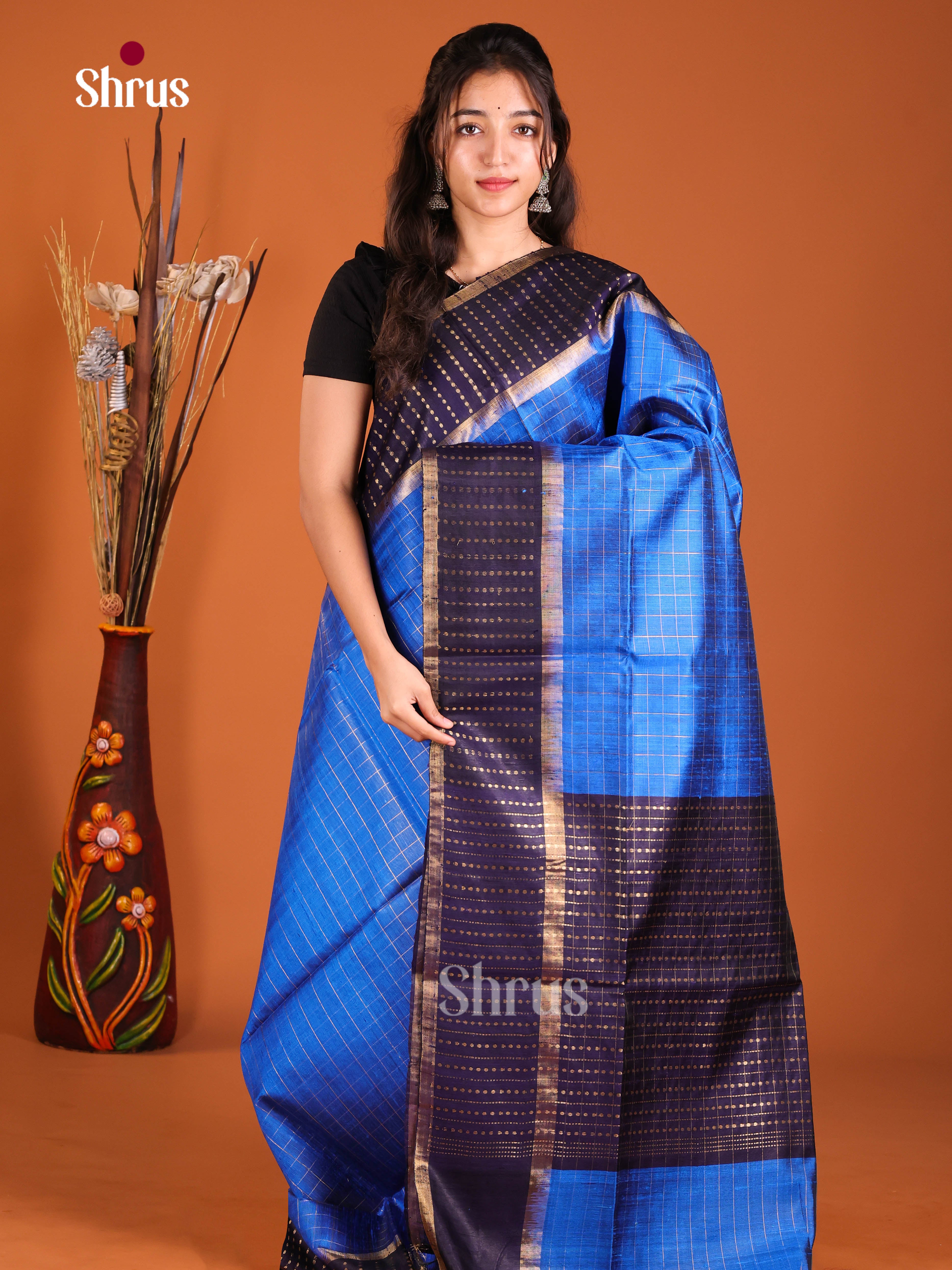 Blue & Navy Blue - Raw Silk Saree
