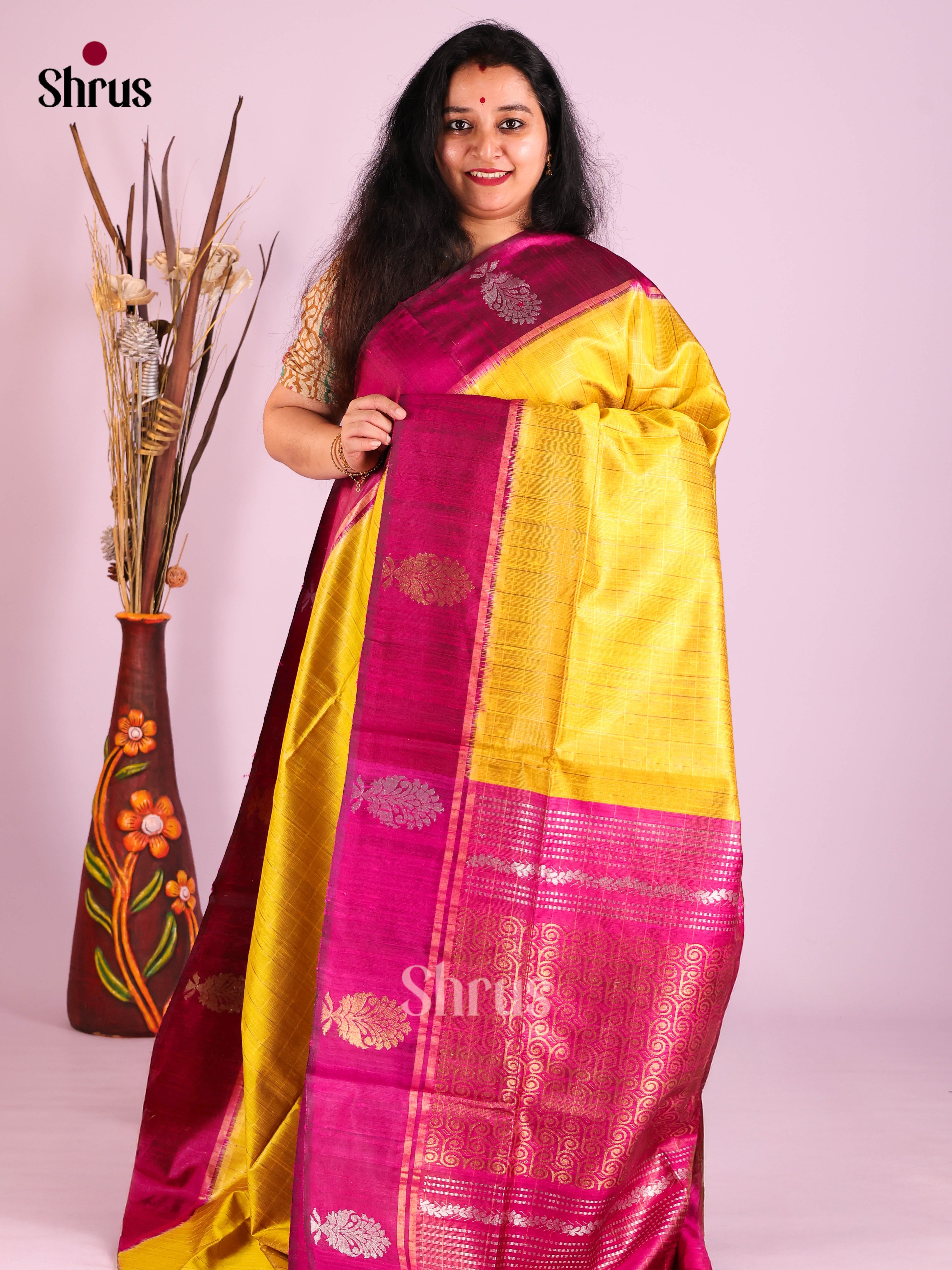 DIS27047 - Raw Silk Saree - Shop on Shrus.com