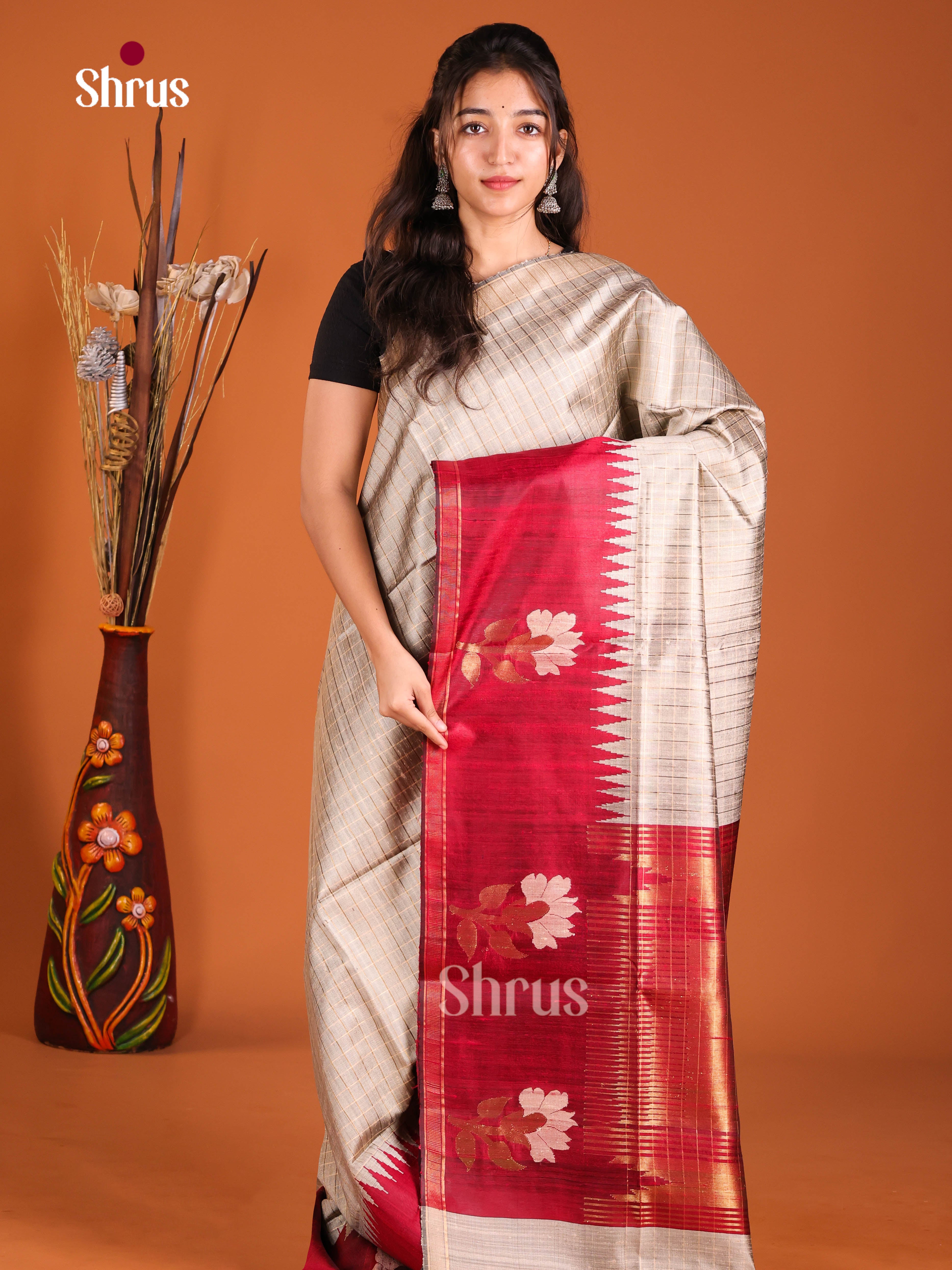 DIS27065 - Raw Silk Saree - Shop on Shrus.com
