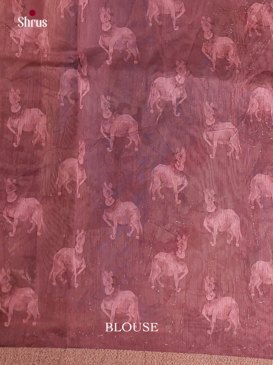 DIS29001 - Semi Chanderi Saree