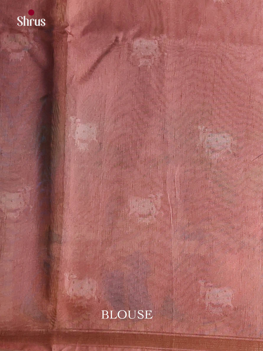 Onion Peel - Semi Chanderi Saree - Shop on Shrus.com