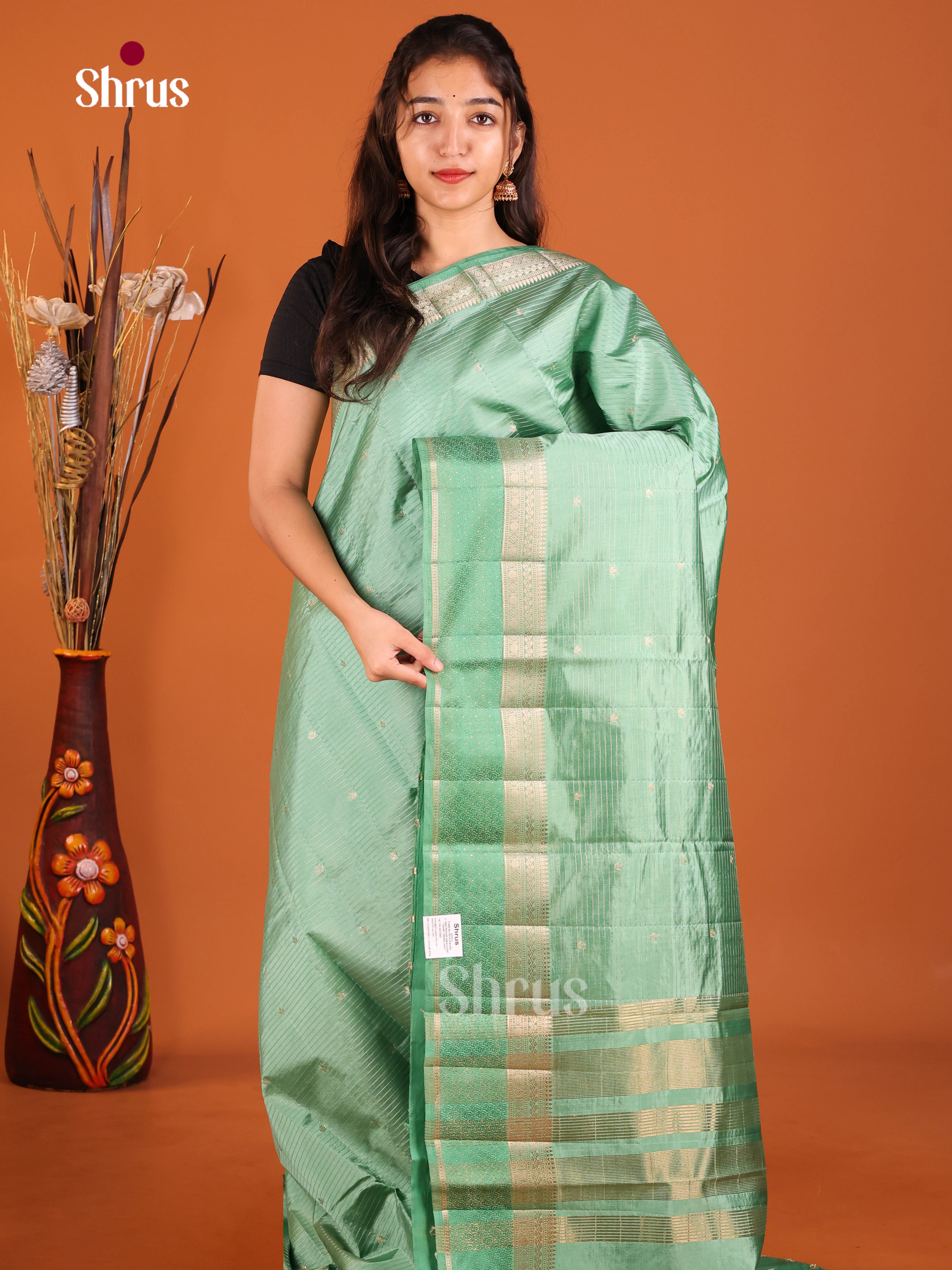 Pastel green - Semi Rawsilk Saree