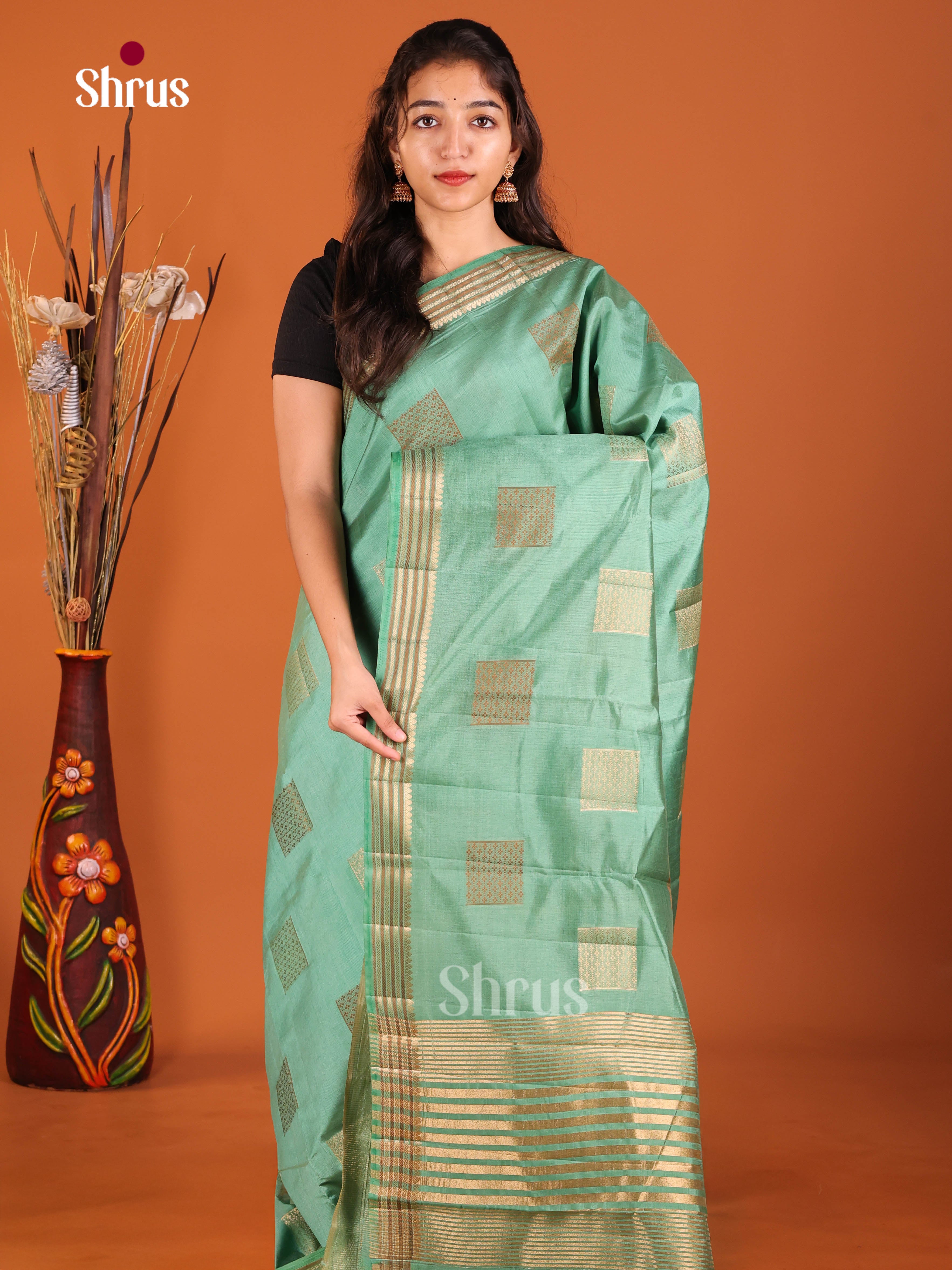 Pastel Green- Semi Rawsilk Saree