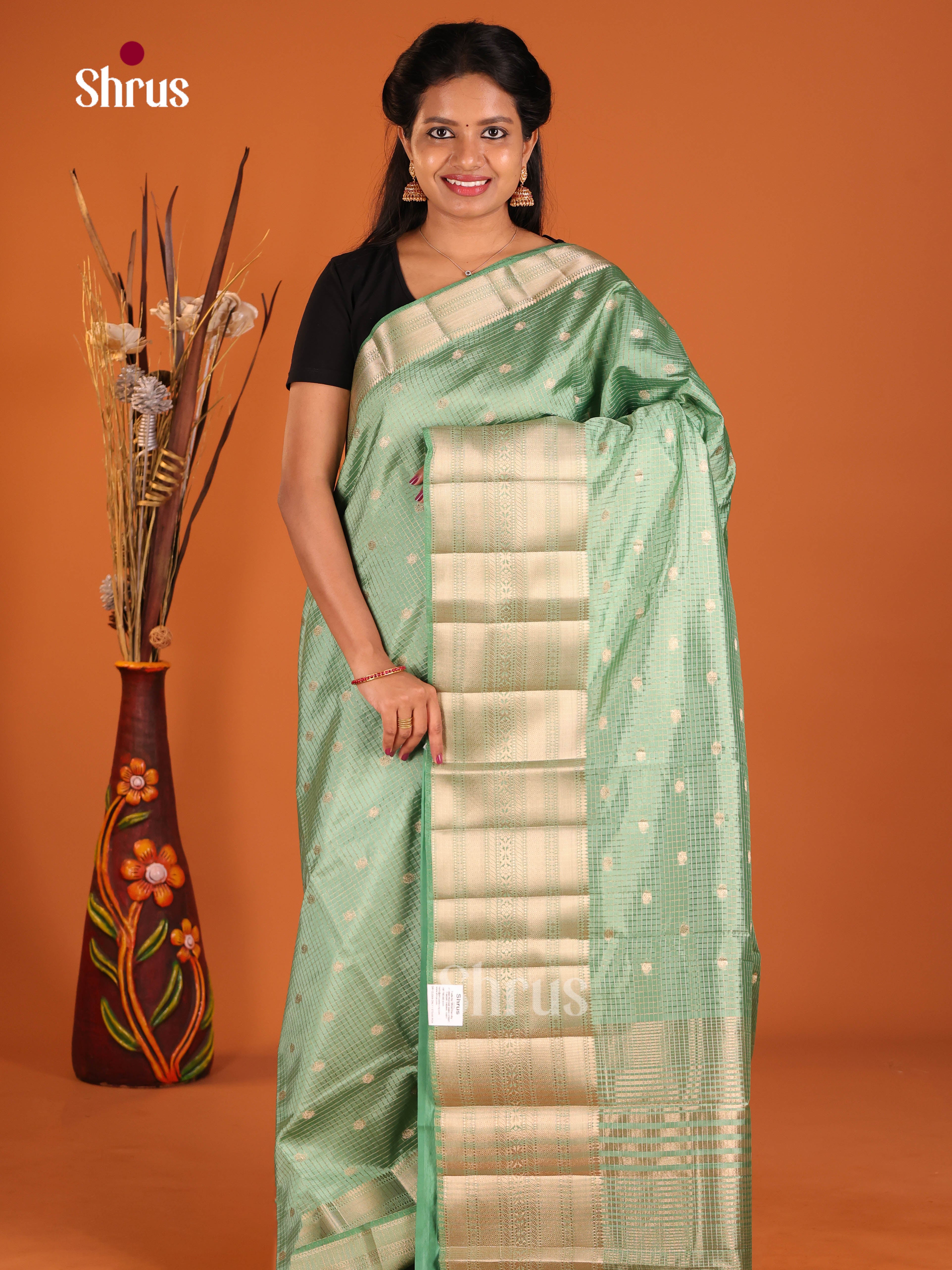 DIS30061 - Semi Rawsilk Saree