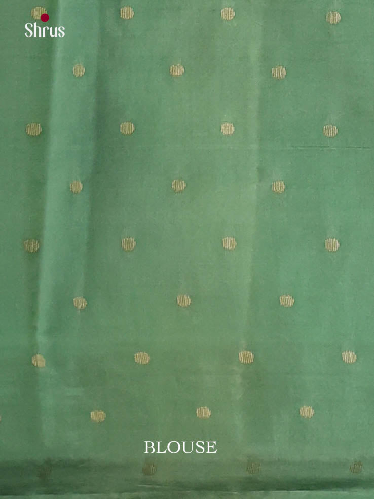 Pastel Green - Semi Rawsilk Saree