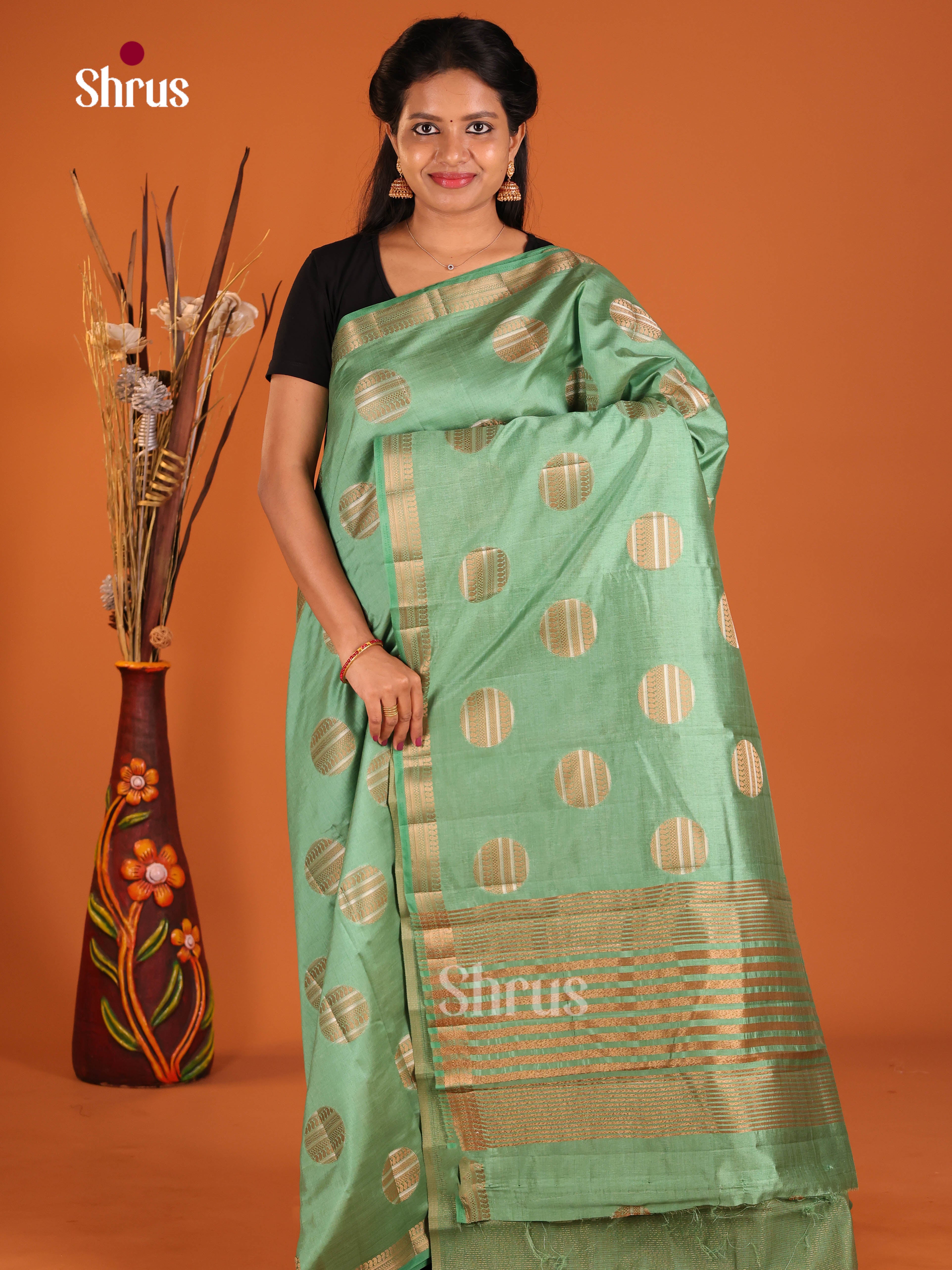 Pastel Green - Semi Rawsilk Saree