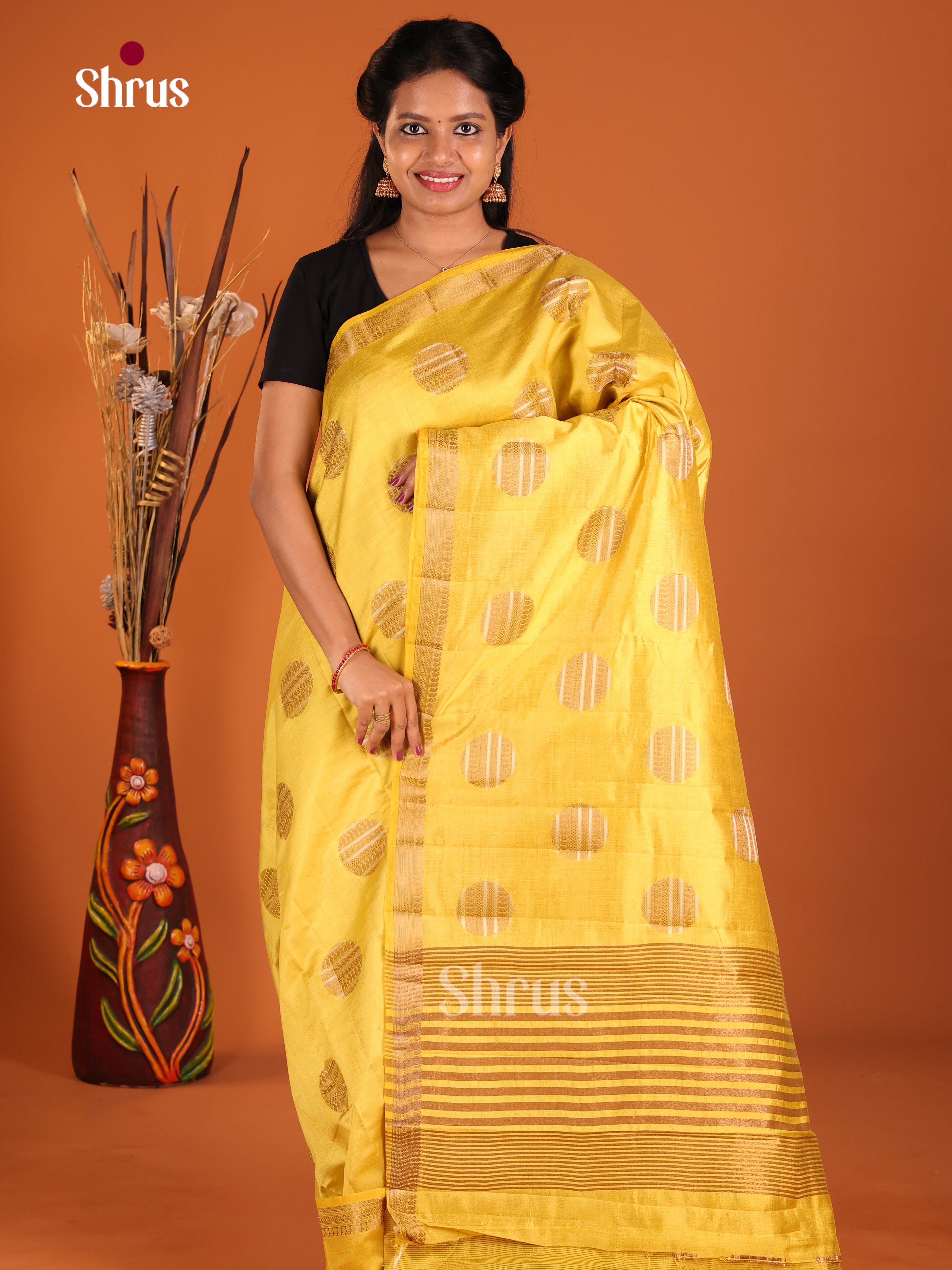 DIS30101 - Semi Rawsilk Saree
