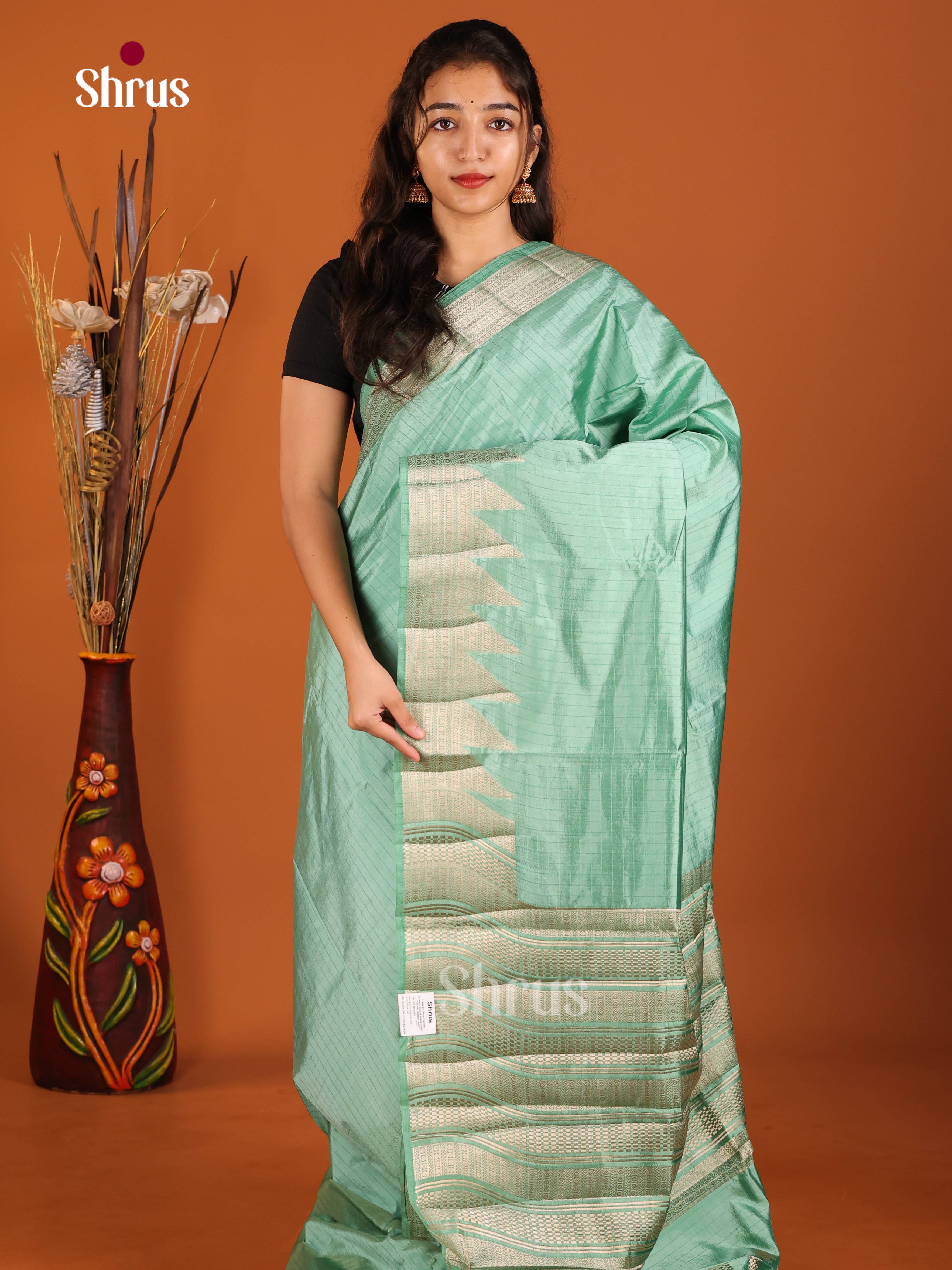 Pastel Green - Semi Rawsilk Saree