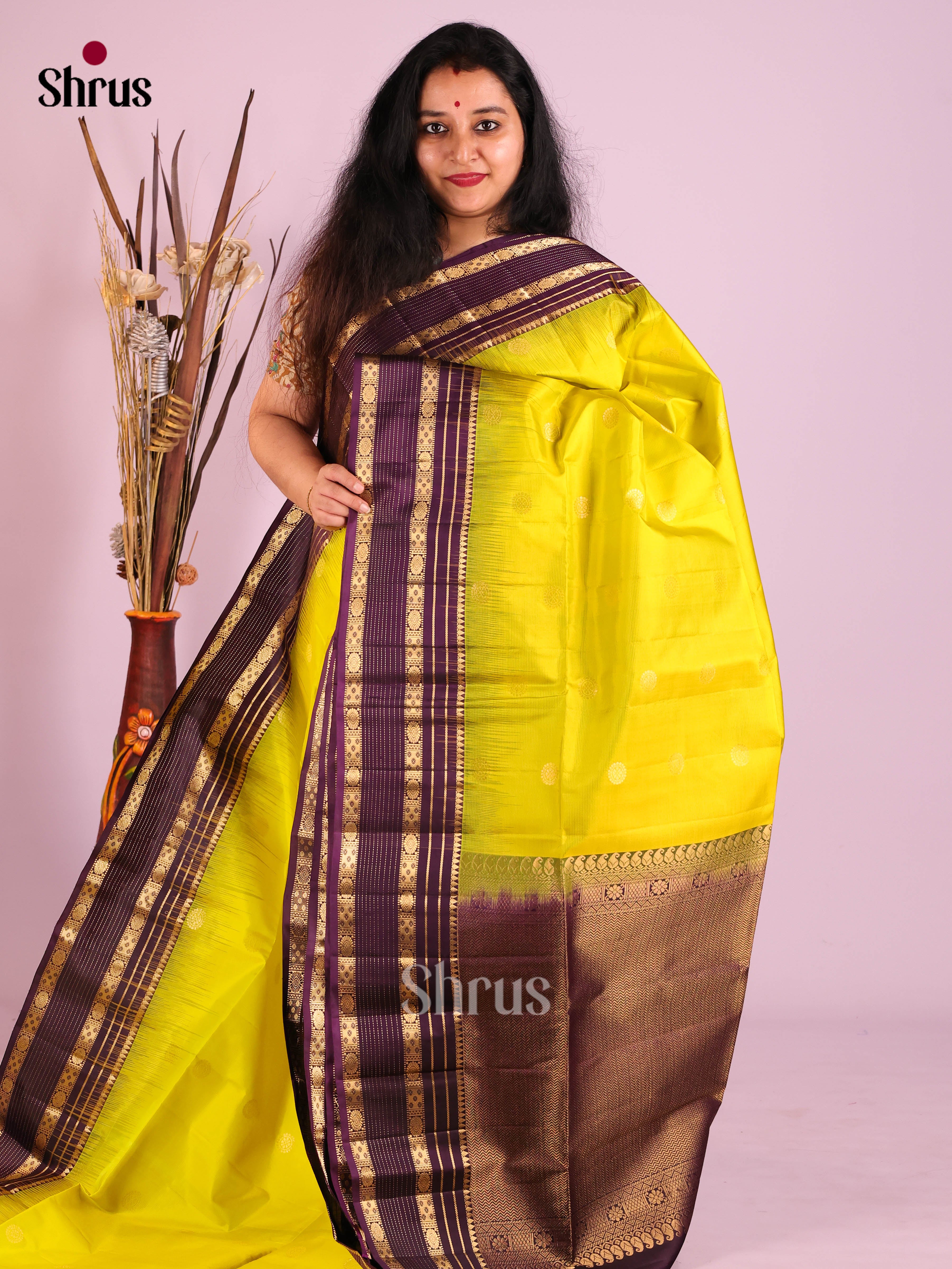 DIS30743 - Soft Silk (HR) Saree - Shop on Shrus.com