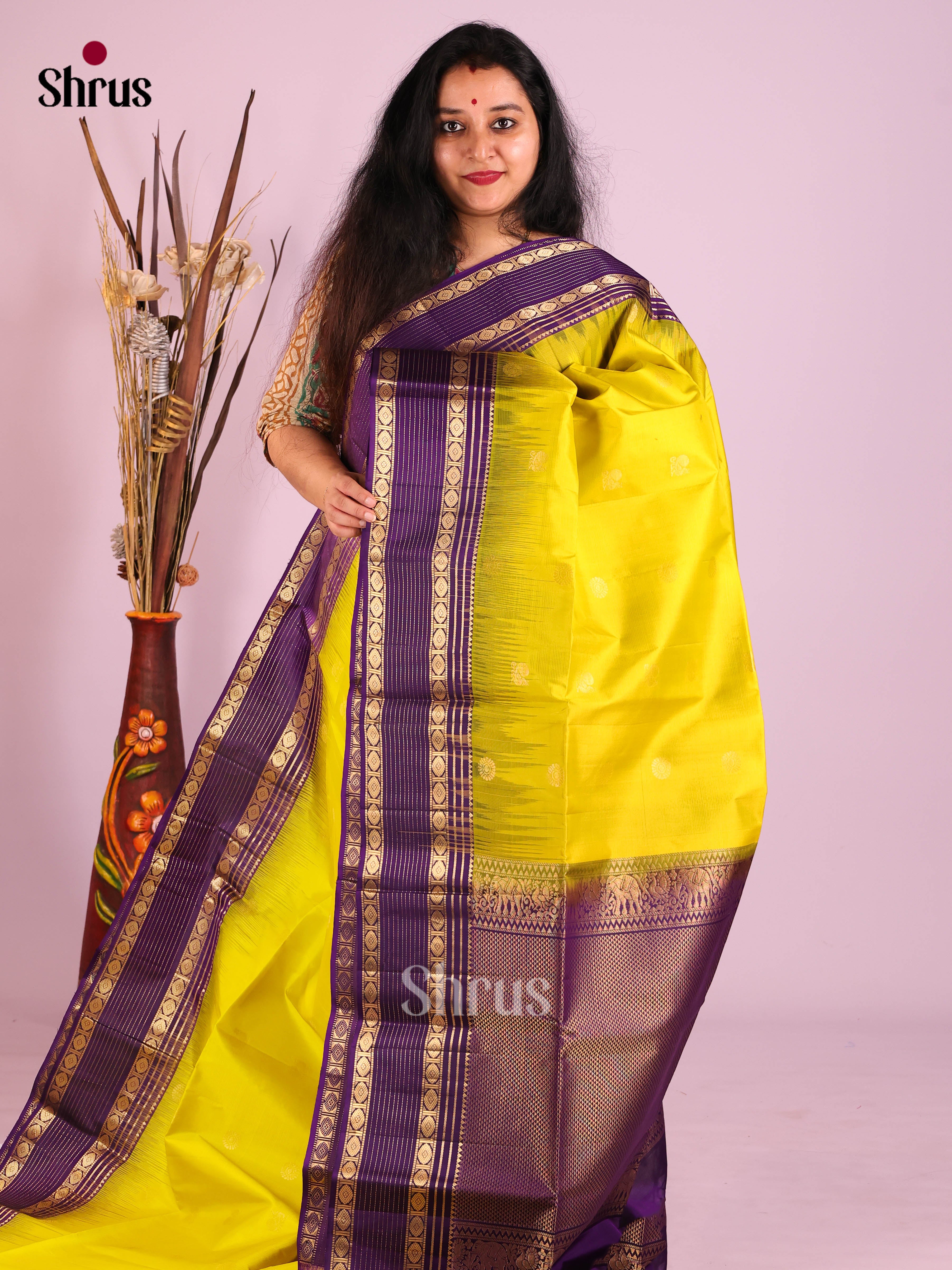 DIS30744 - Soft Silk (HR) Saree - Shop on Shrus.com