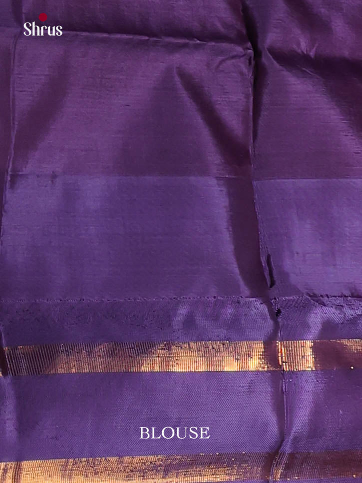 Ice Green & Blue - Banana Pith Saree