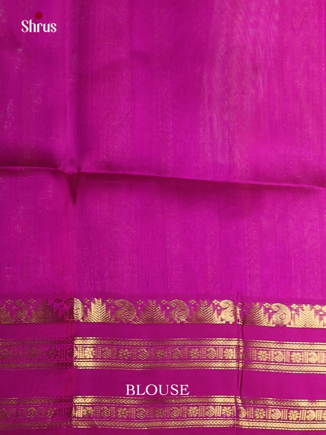 DJS07296 - Korvai-Big border Saree - Shop on Shrus.com