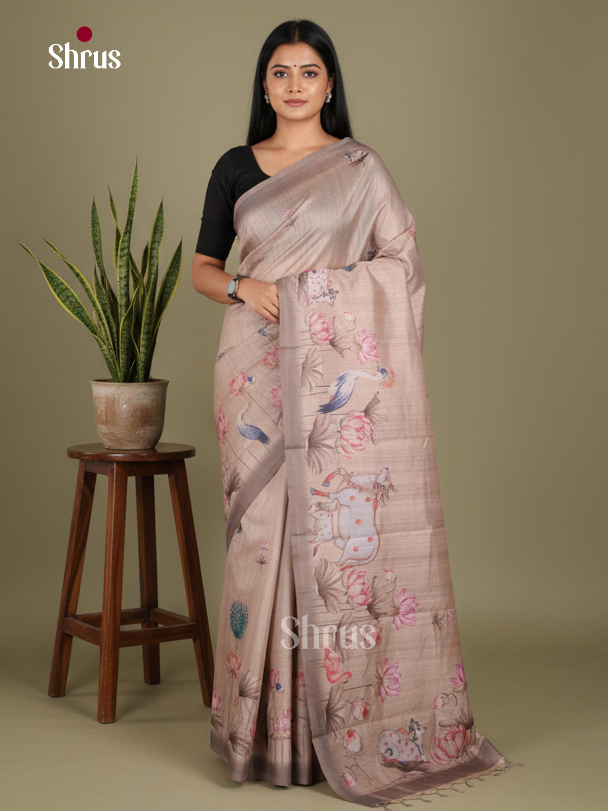 DJS08356 - Semi Chanderi Saree