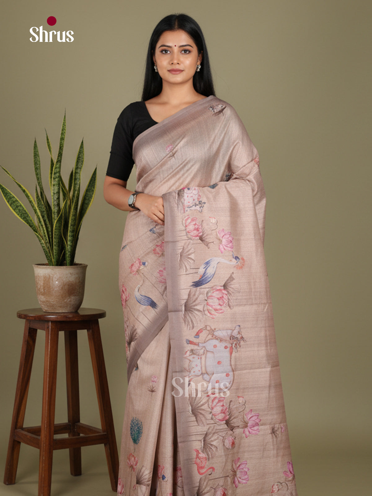 DJS08356 - Semi Chanderi Saree