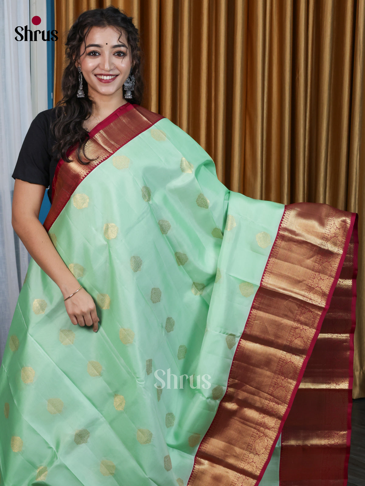 DJS10030 - Kanchipuram-halfpure Saree