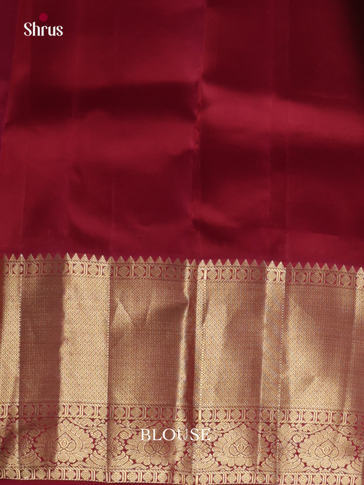 DJS10030 - Kanchipuram-halfpure Saree
