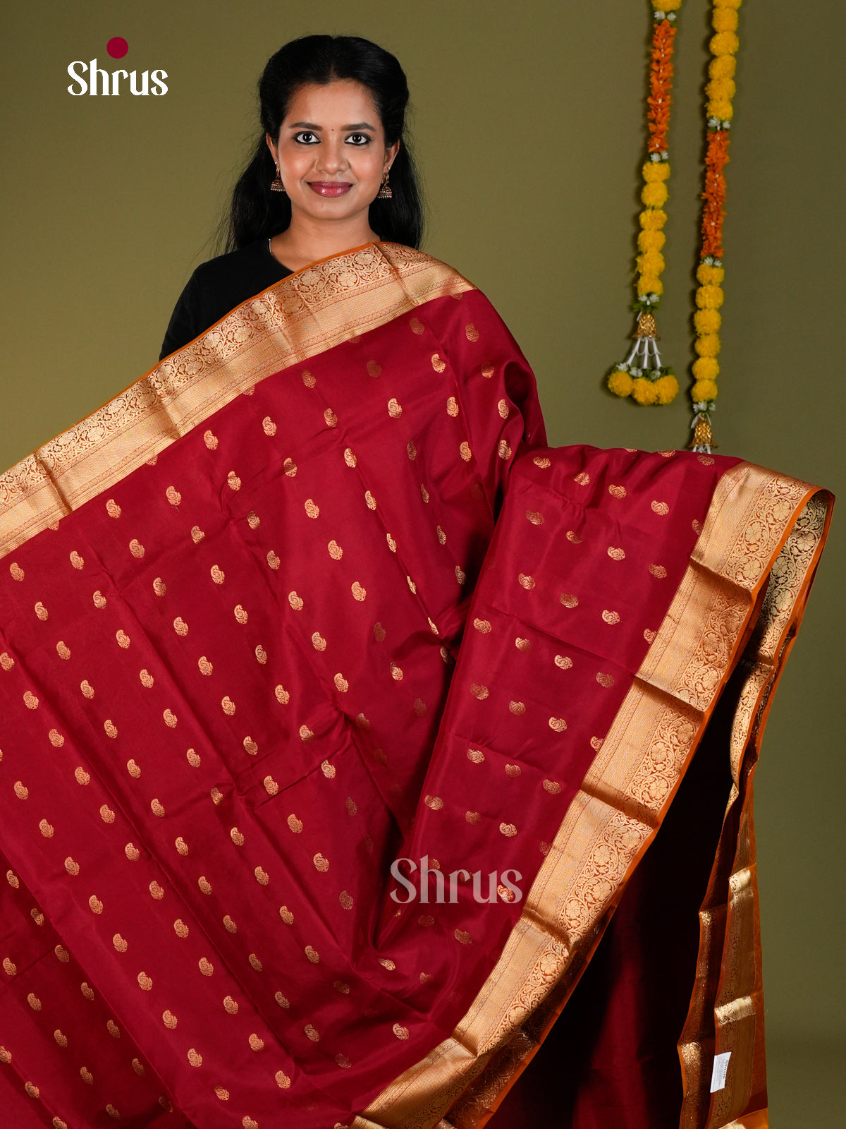 DJS10050 - Kanchipuram-halfpure Saree - Shop on Shrus.com