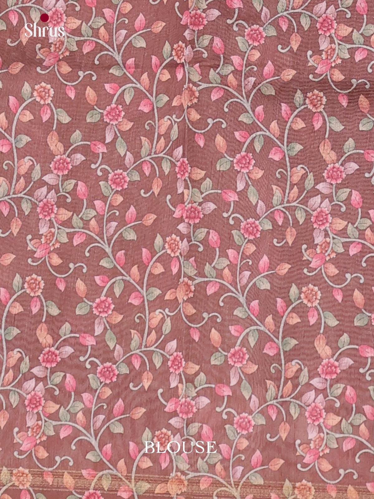 DJS17267 - Semi Chanderi Saree