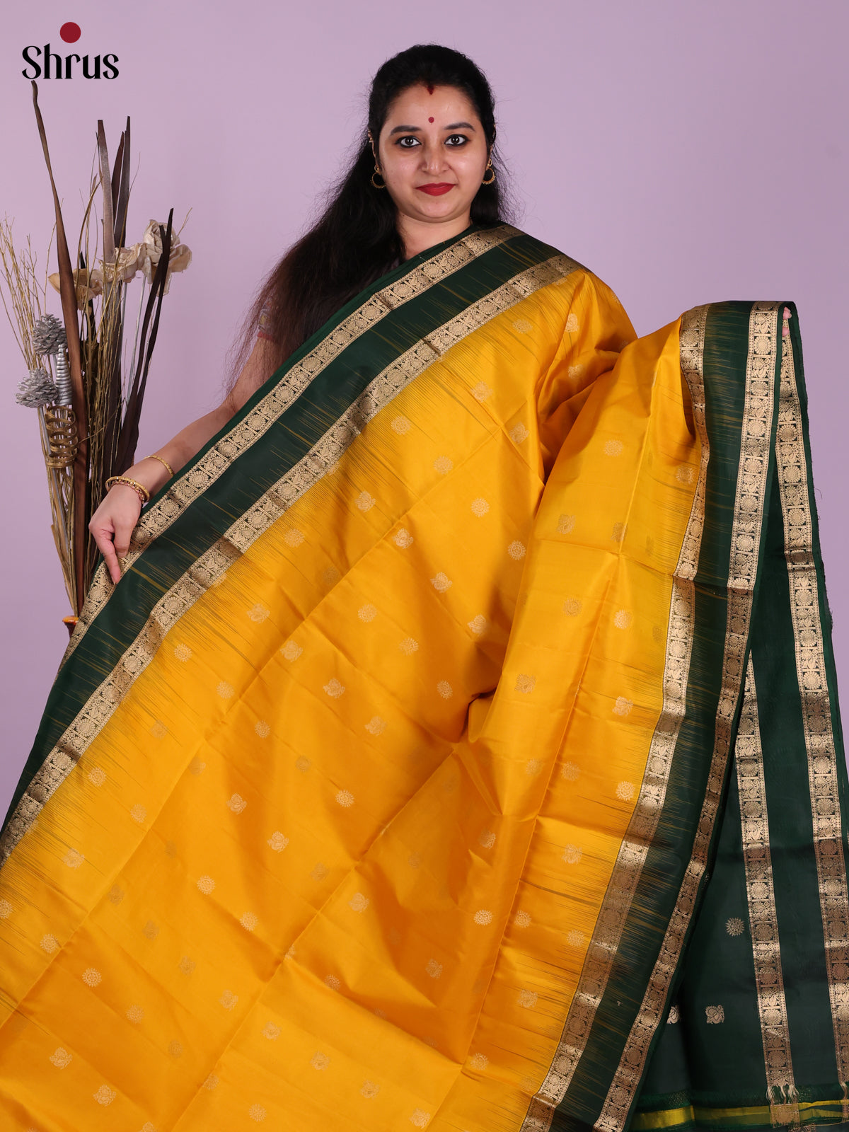 DJS25280 - Soft Silk (HR) Saree - Shop on Shrus.com