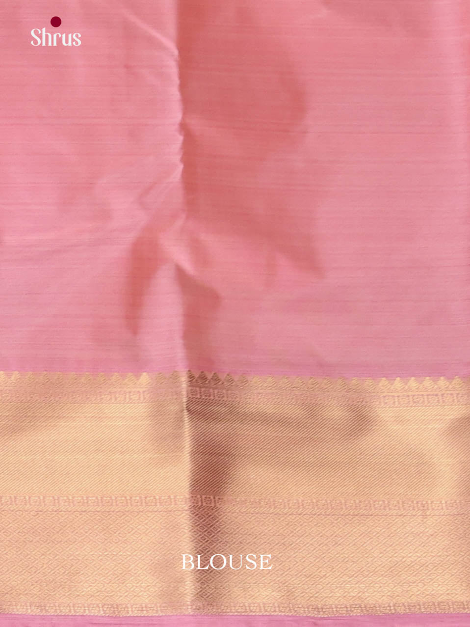 DJS29001 - Kanchipuram-halfpure Saree