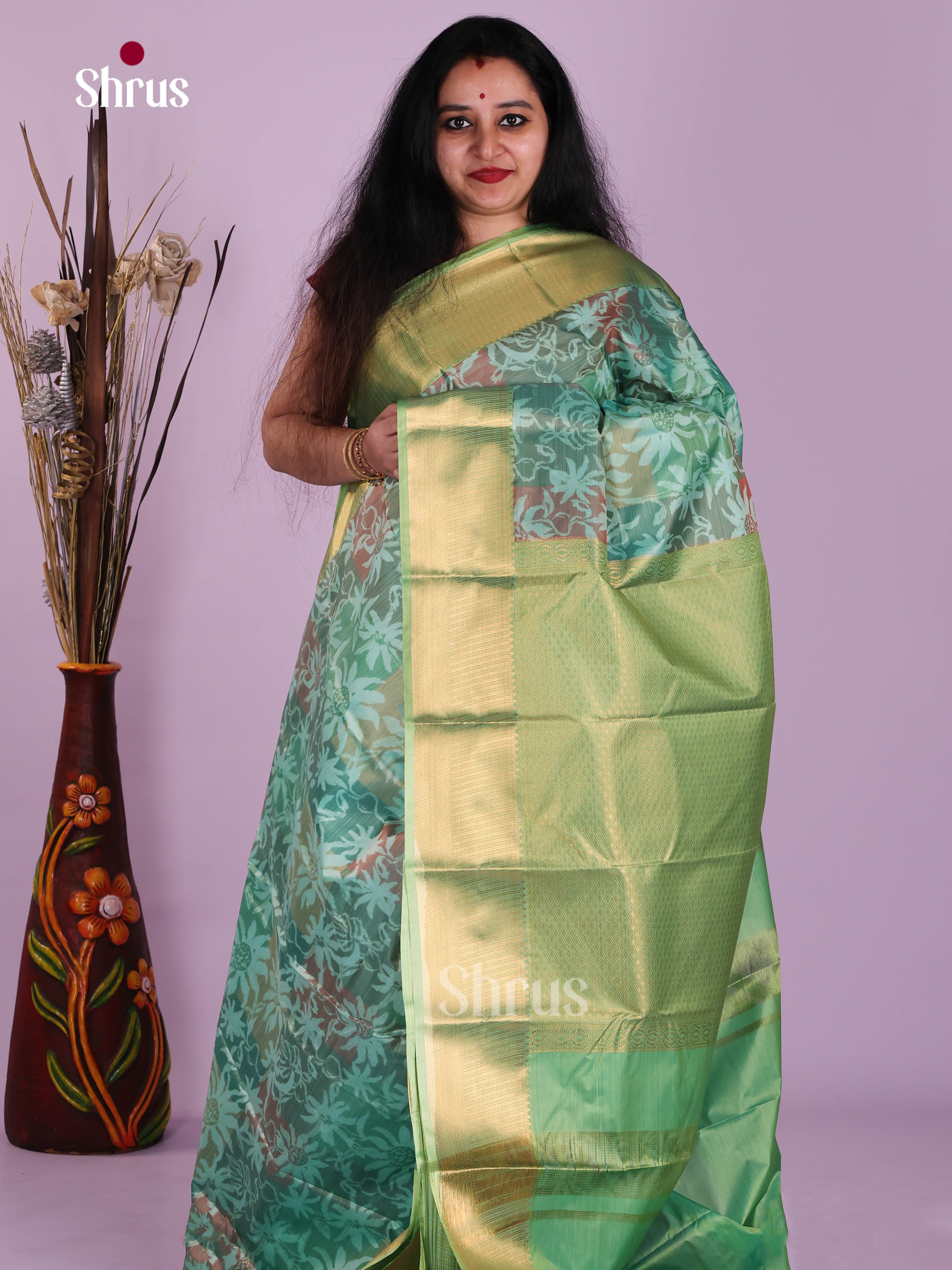 DJS29003 - Kanchipuram-halfpure Saree