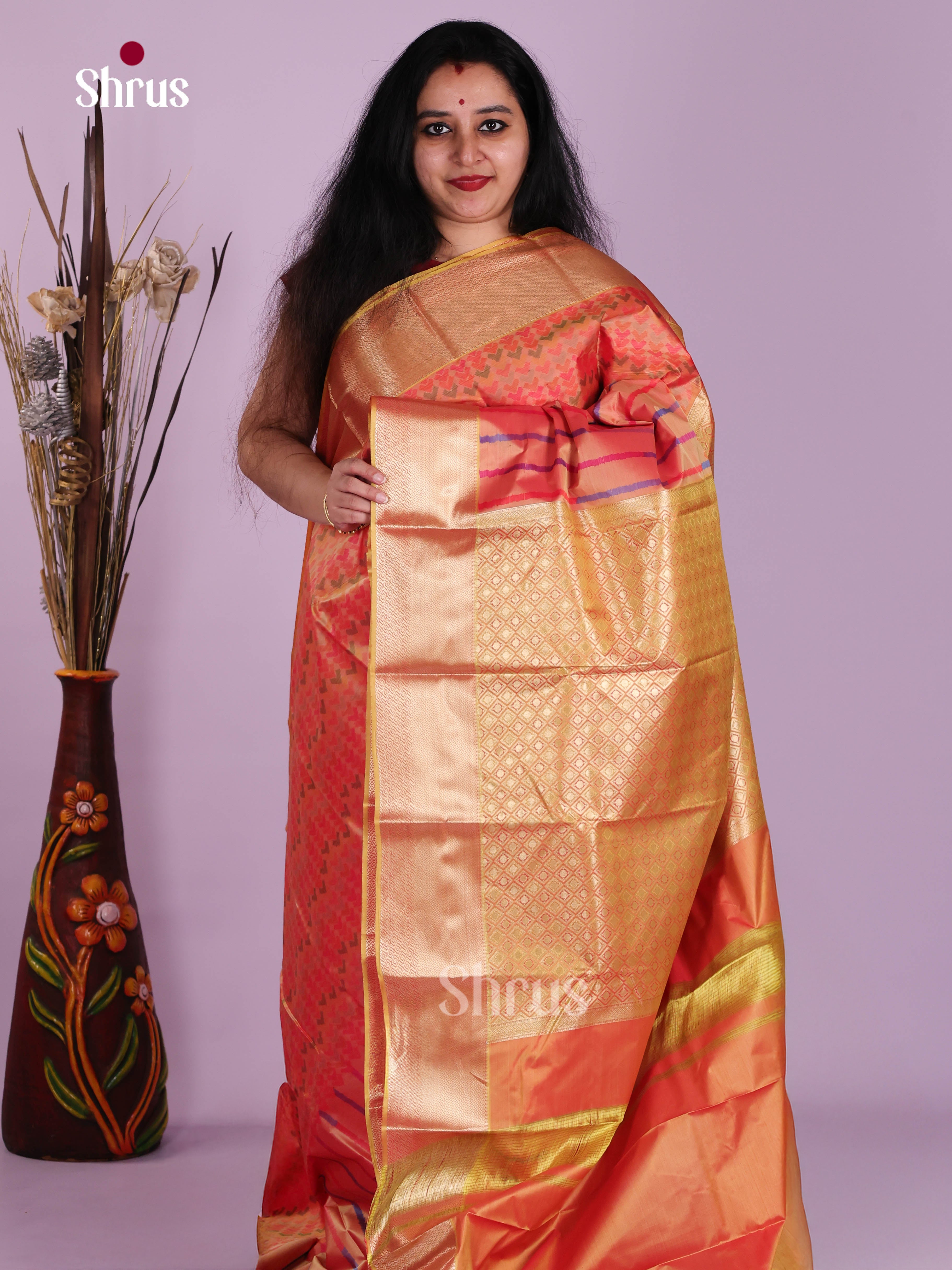 DJS29022 - Kanchipuram-halfpure Saree