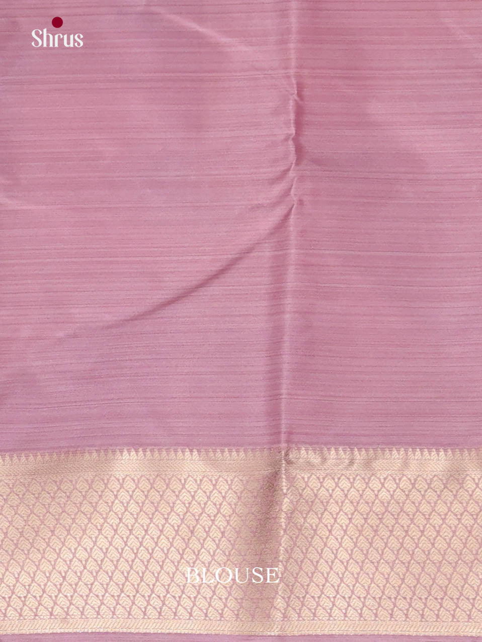 DJS29033 - Kanchipuram-halfpure Saree