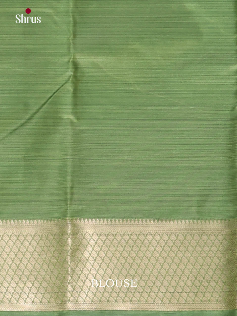 DJS29036 - Kanchipuram-halfpure Saree